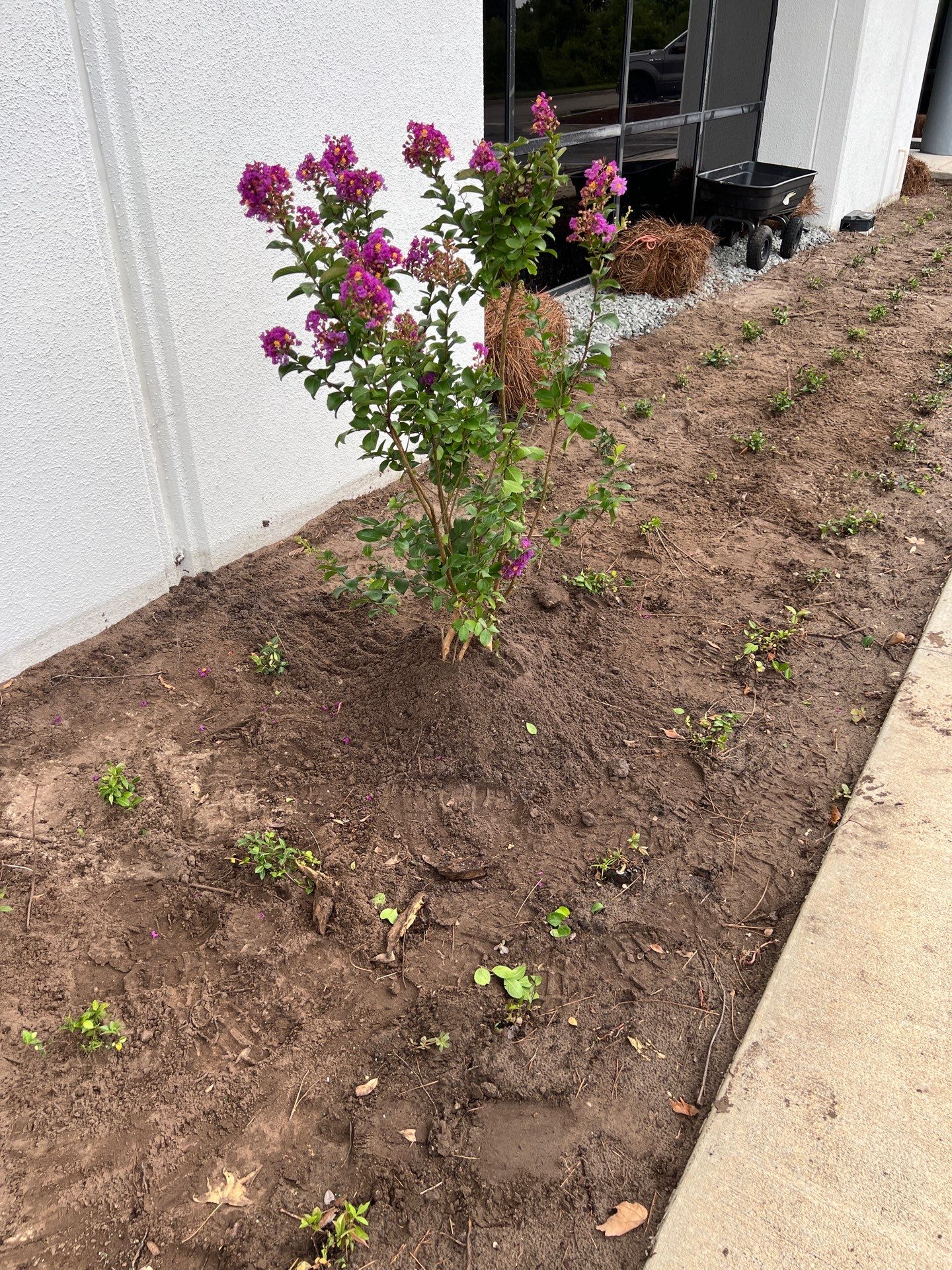 Large Landscape Project | Center Point by ProGreen Services