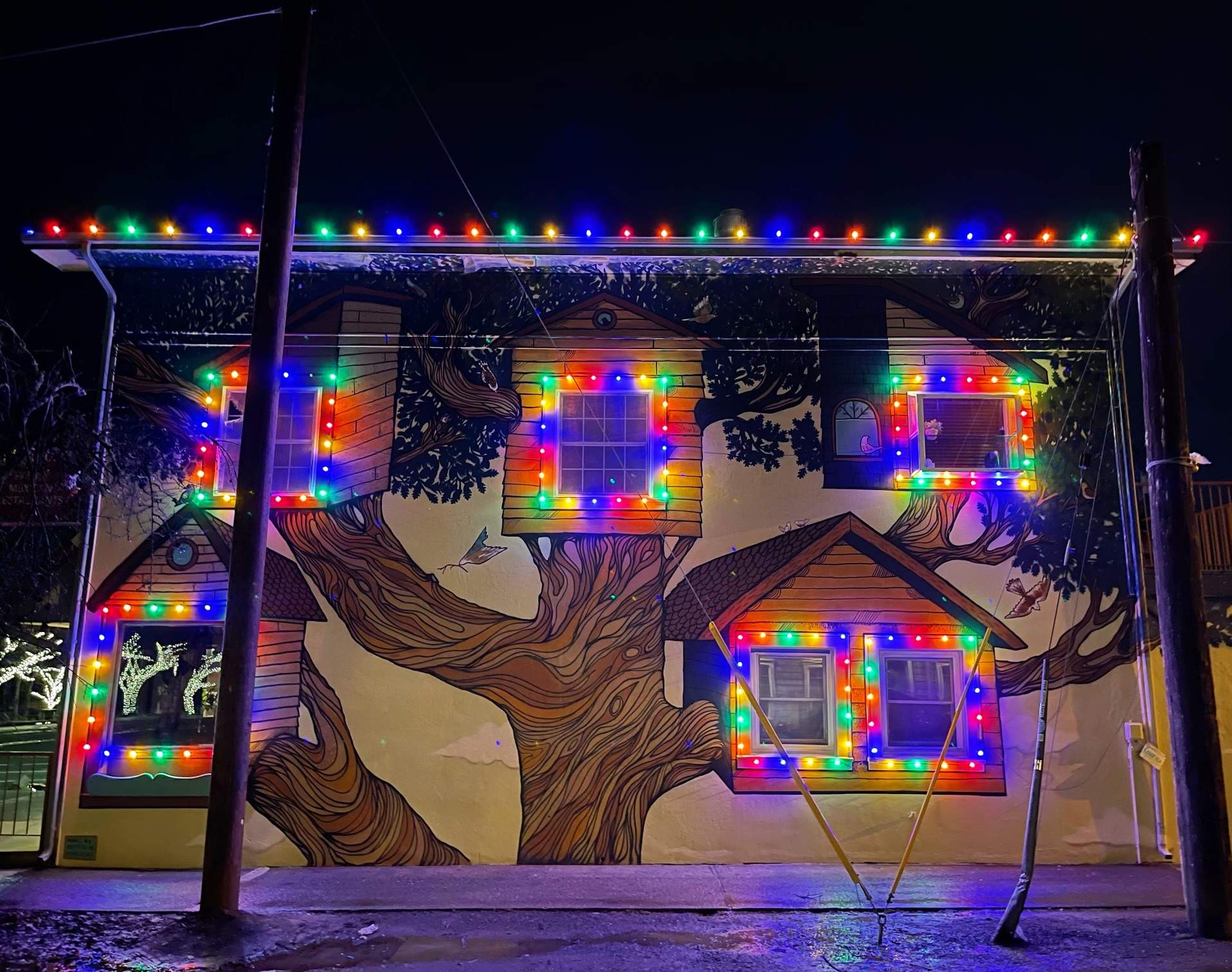 Holiday Light Gallery by WindowWorks