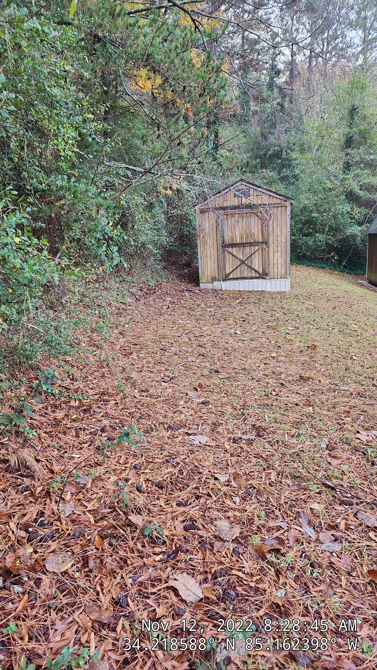 6' Wood Privacy Fence with Top Cap by Titans of Timber Fence & Stain