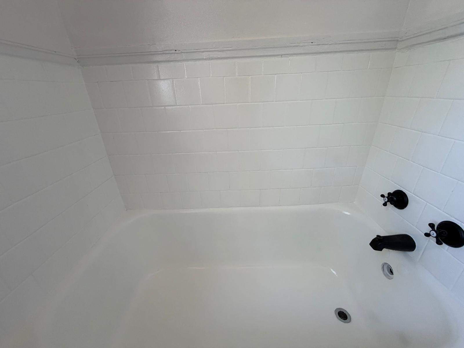 Bathtub renovation  by Alpha and Omega Pro Services