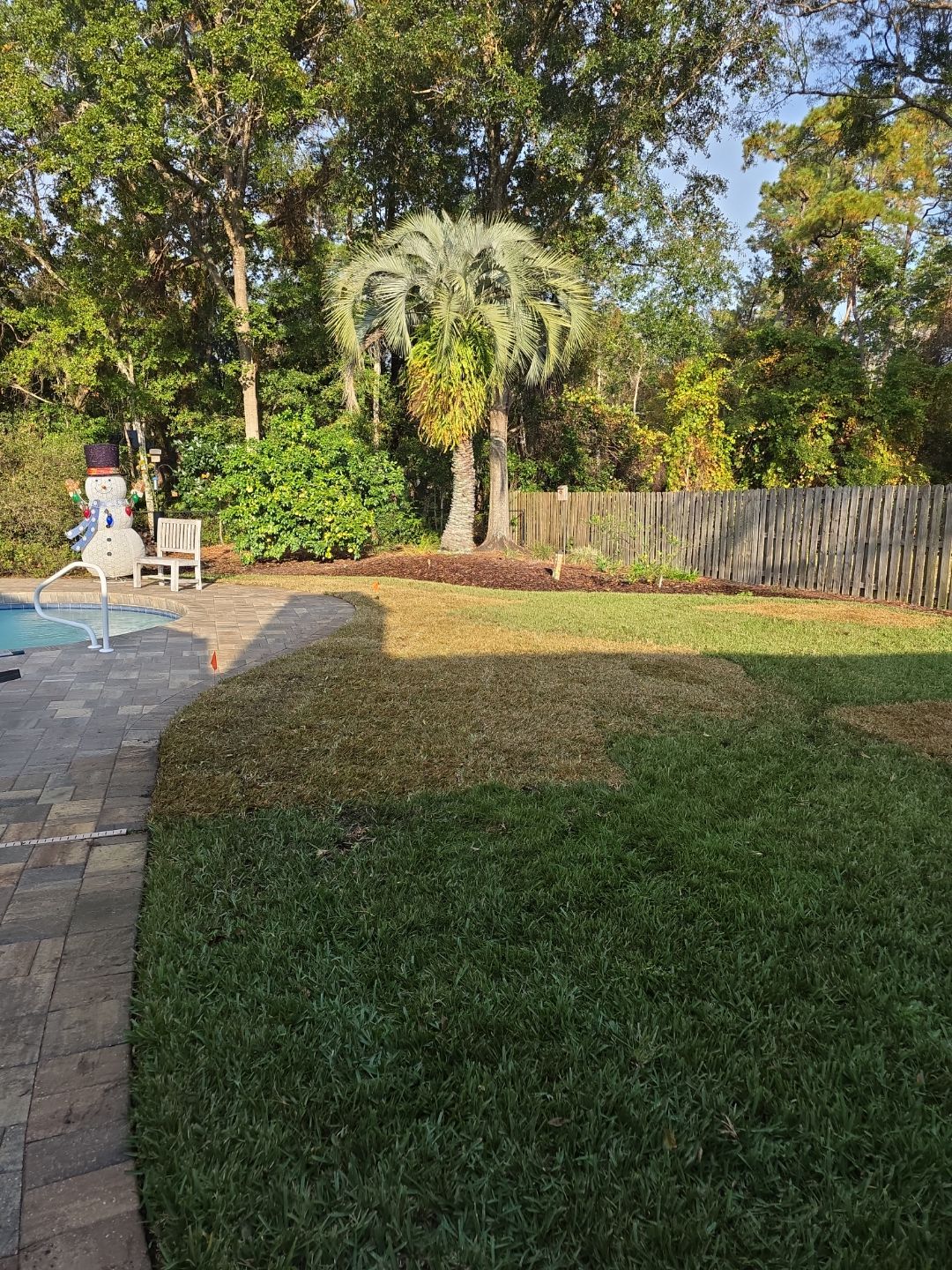 Deerwood Resident | Winter Sod Replacement by ProGreen Services