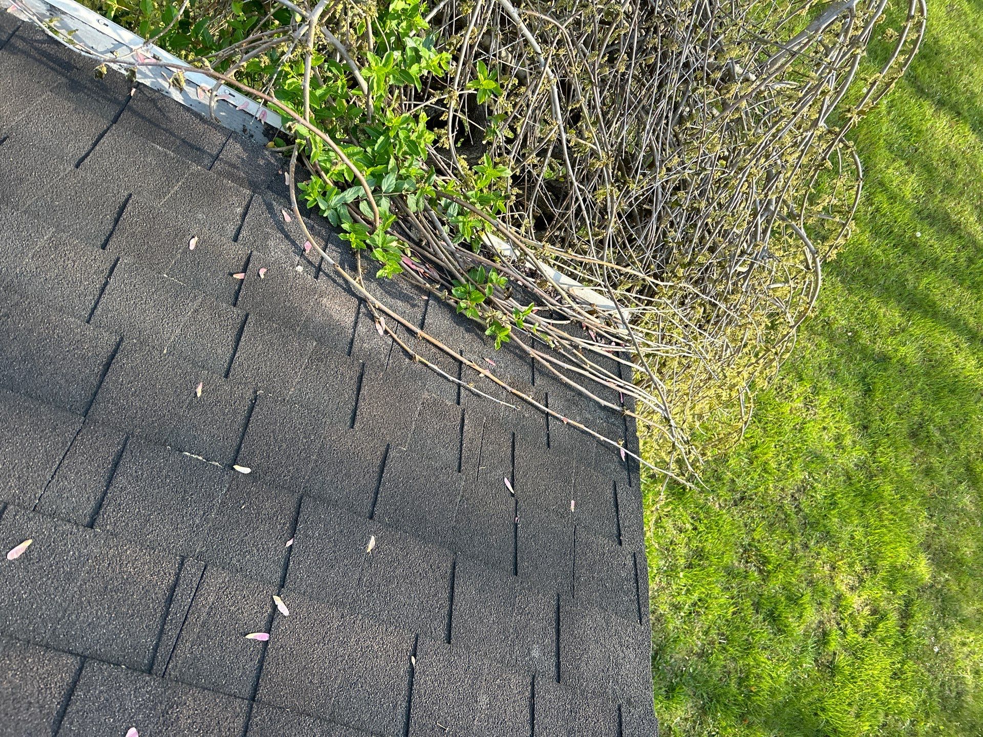 Residential Roofing Installation using Performance Panel Metal - Coca Brown by RoofX 