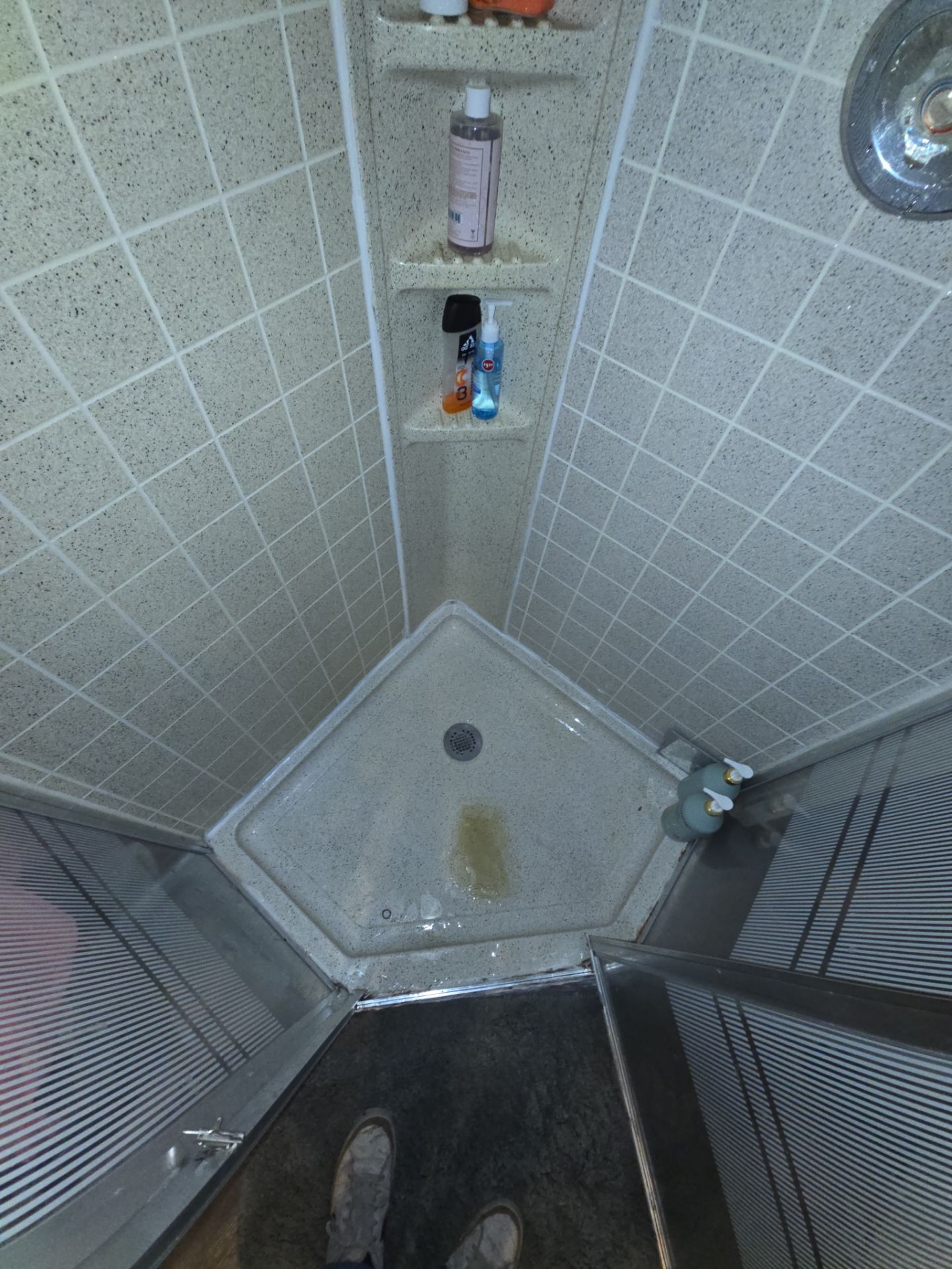 Corner Shower by The Shower Company