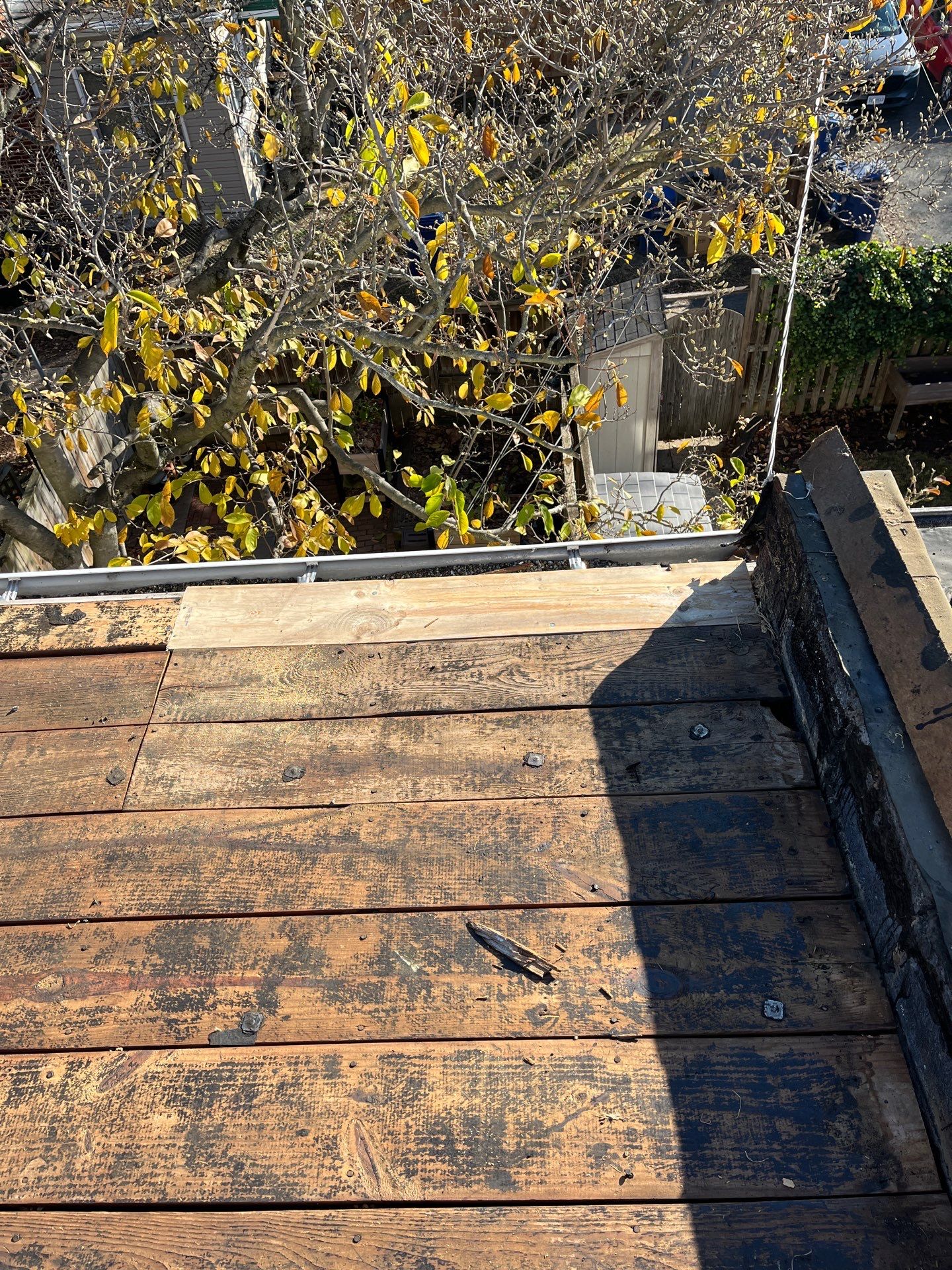 Alexandria: Residential Flat Roof Replacement with Mule Hide TPO Membrane by RM Banning, Inc.