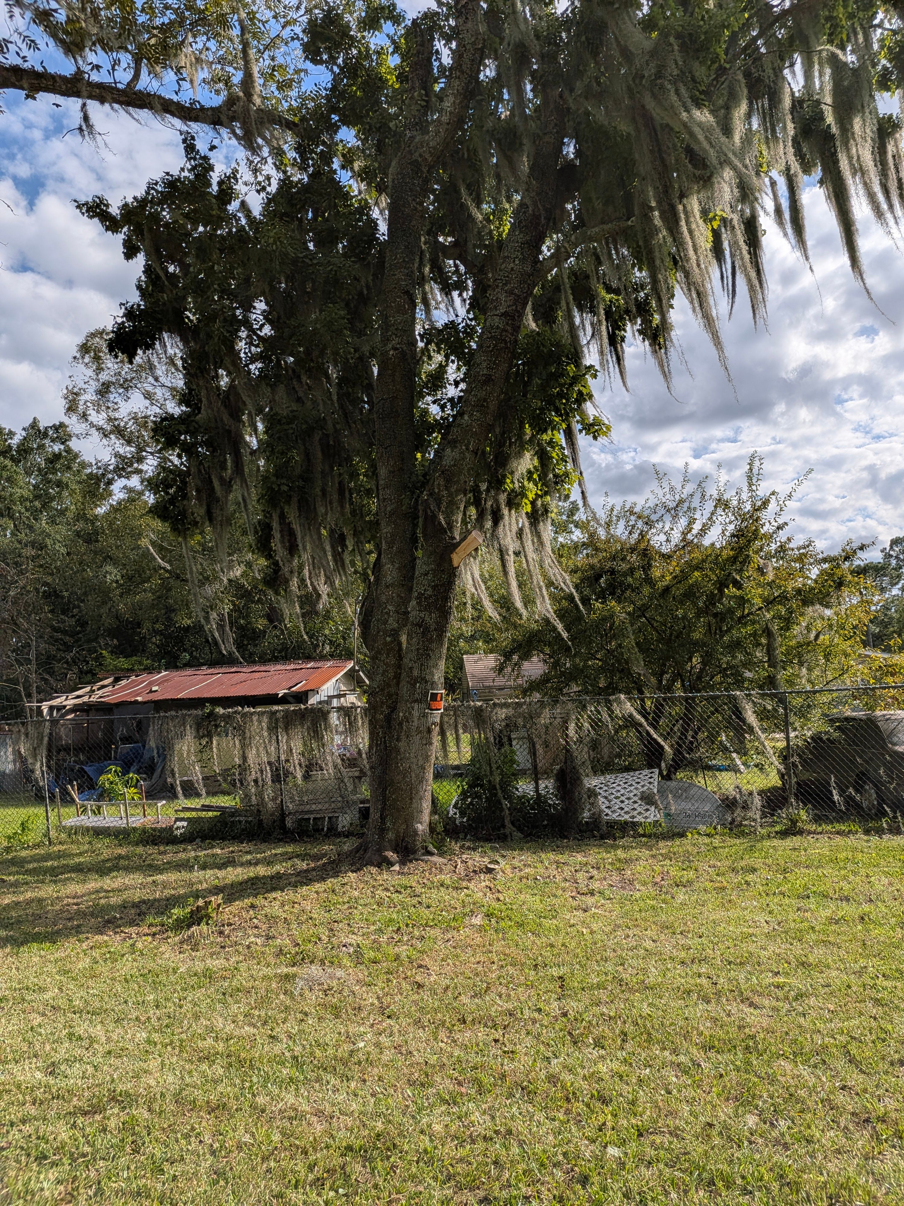 Vacant Lot Cleanup & Ongoing Maintenance — Northside Jacksonville (32219) by Harmoni Home Services