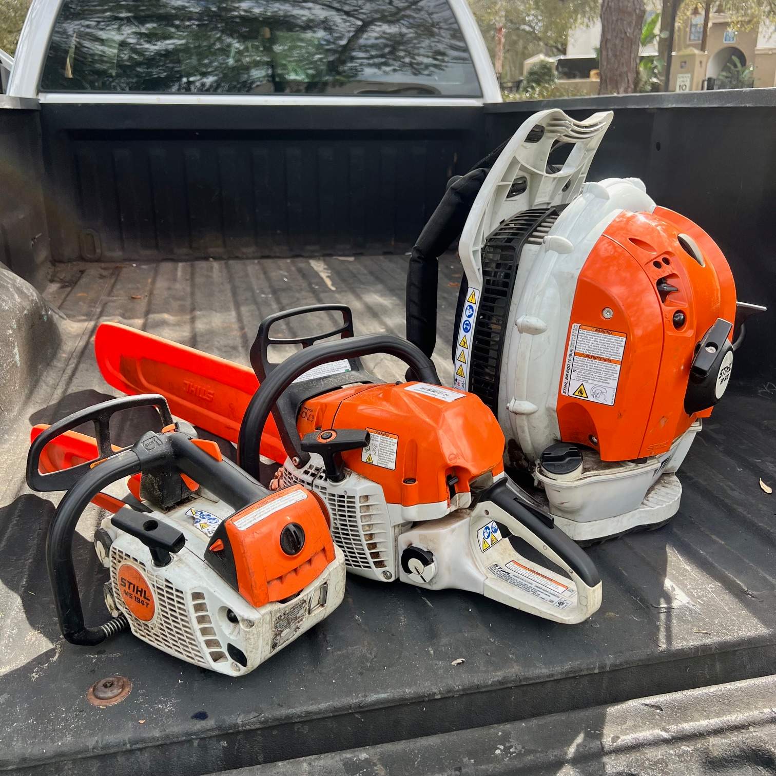 William's Walk | Italian Cypress Removal by ProGreen Services