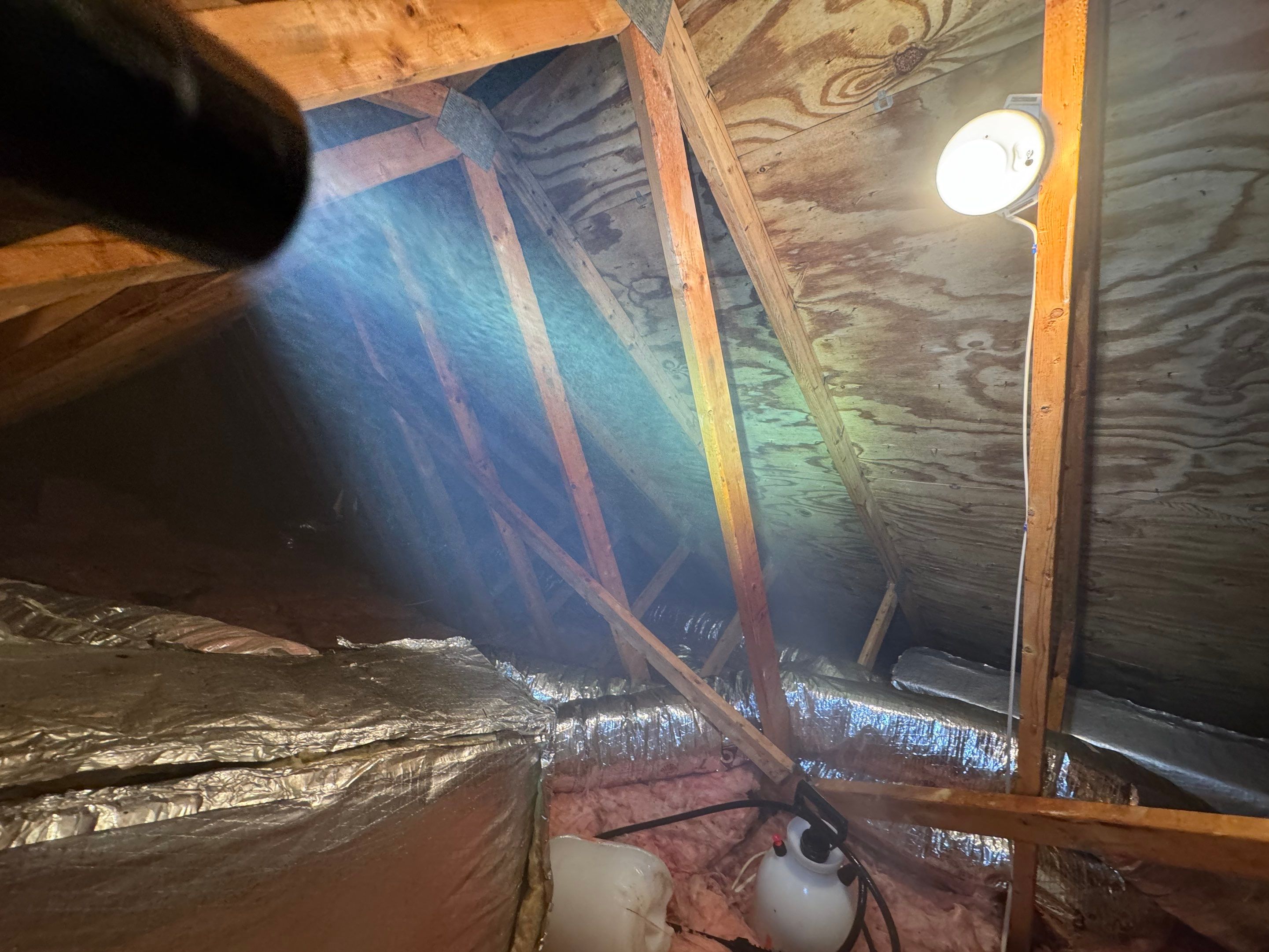 Attic Mold Remediation by Home Guarantee, LLC