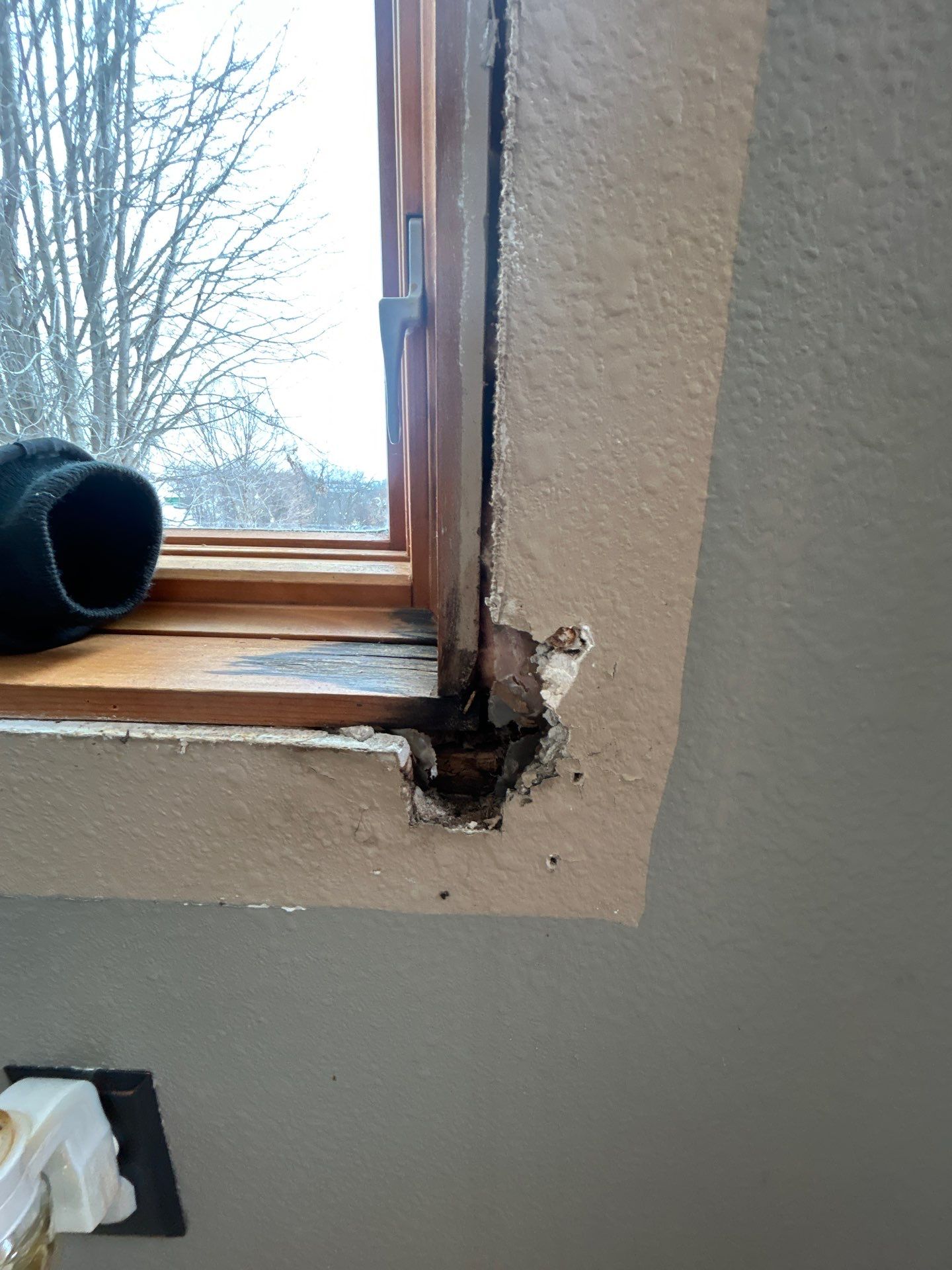 Warm Interior Style with a Durable Exterior: Pella Lifestyle Window Upgrade by United Windows and Siding LLC