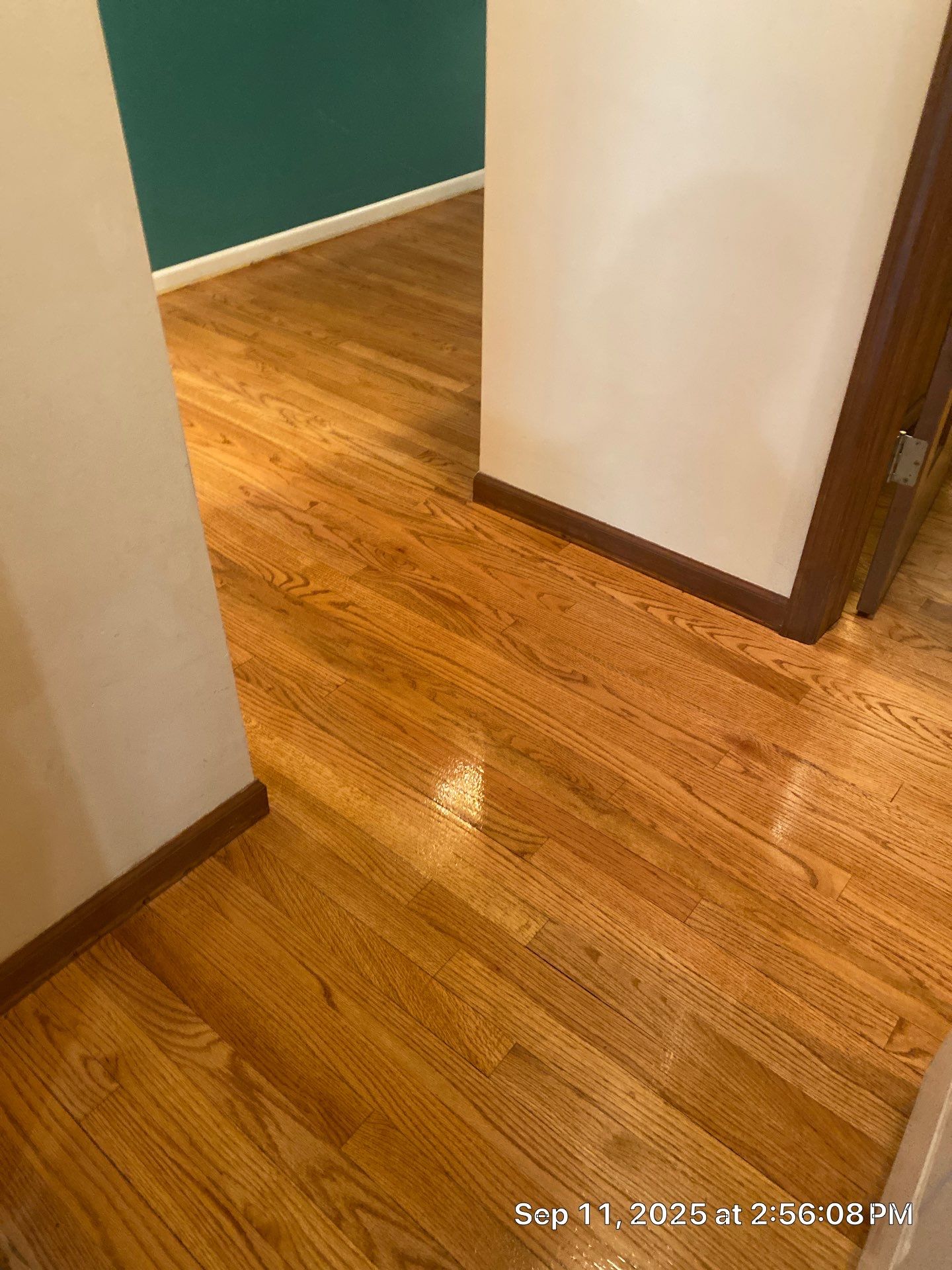 We FIX Water Damage! by RTBaldwin Hardwood Floors
