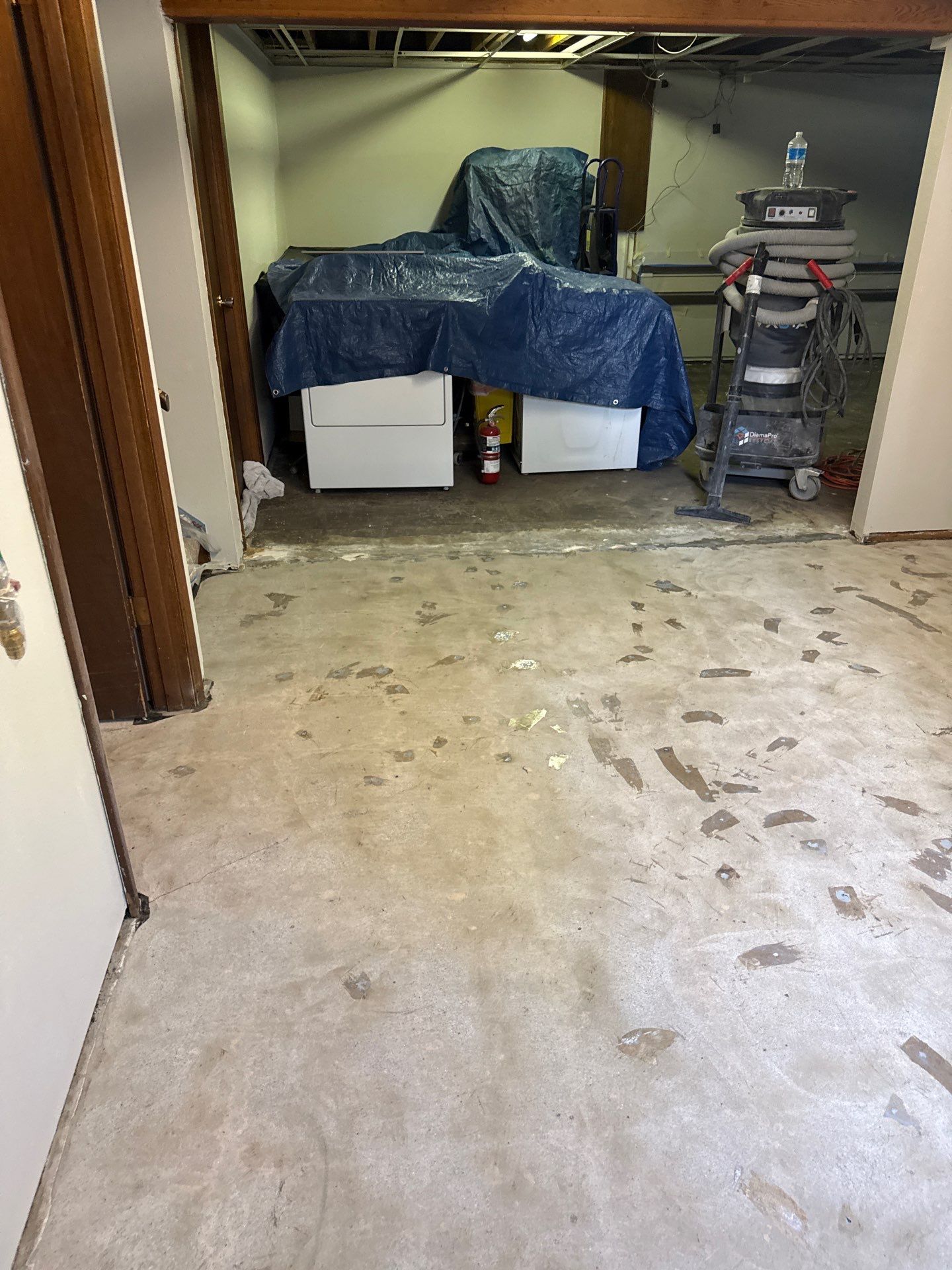 Basement Concrete Floor Coating and Restoration in Boone by Revival Concrete Coatings