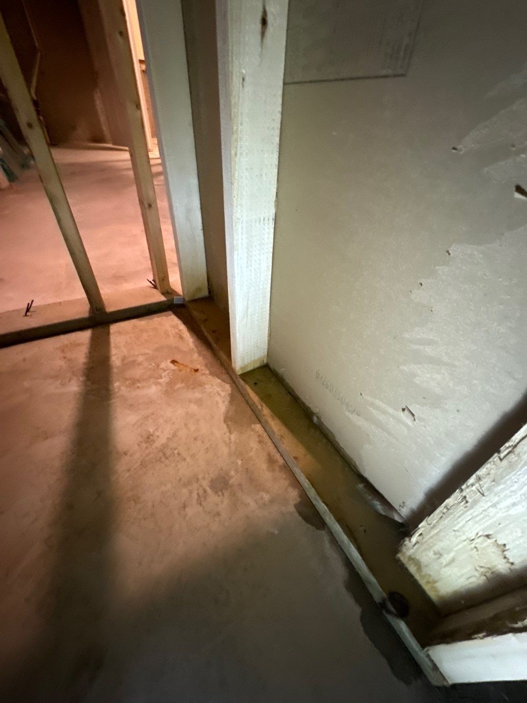 Project in Commerce Charter Twp by EzDry Water Mitigation & Property Restoration