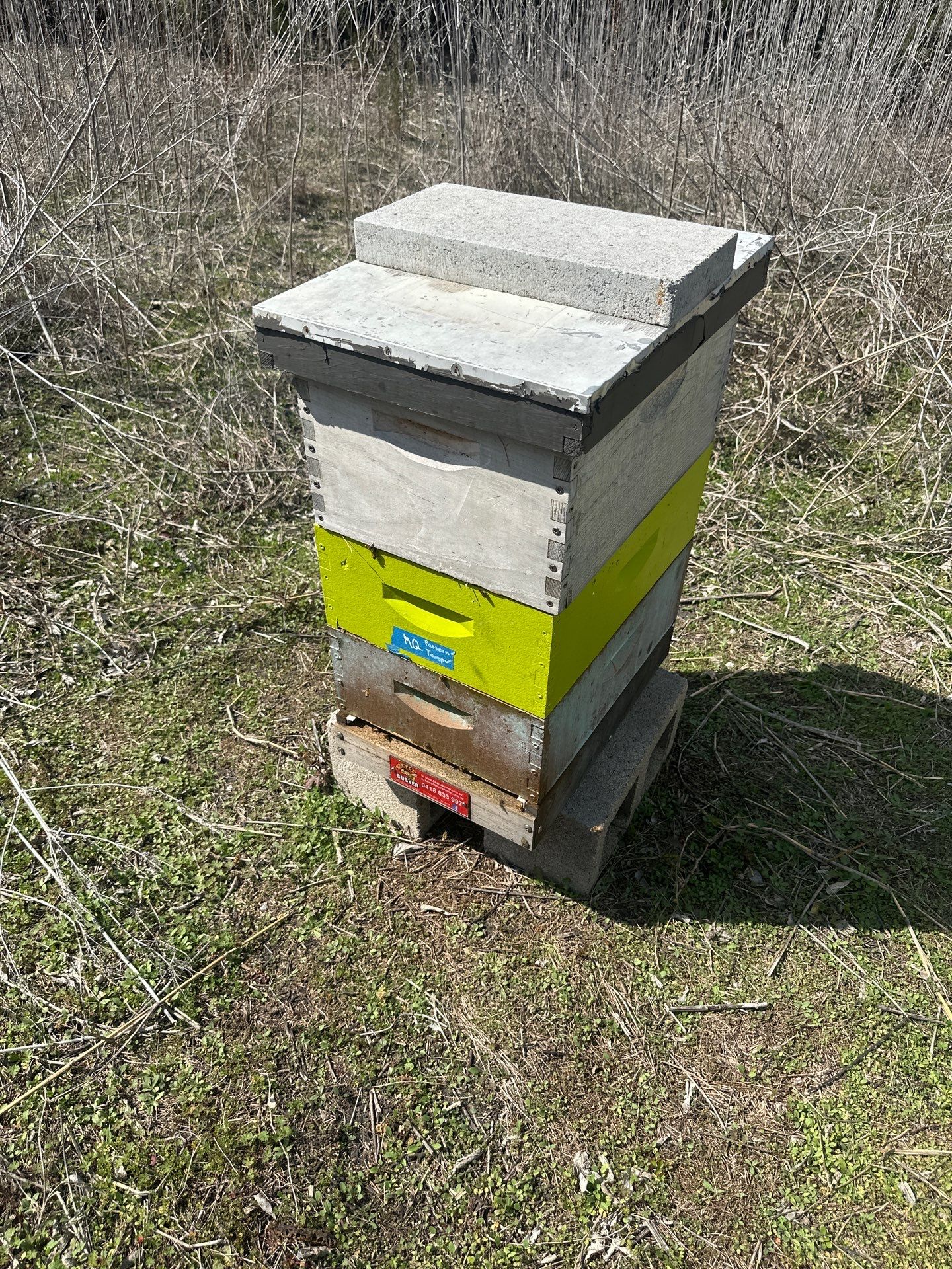 Ag. Exemption in Fate, TX by Rockwall Honey Bee Company