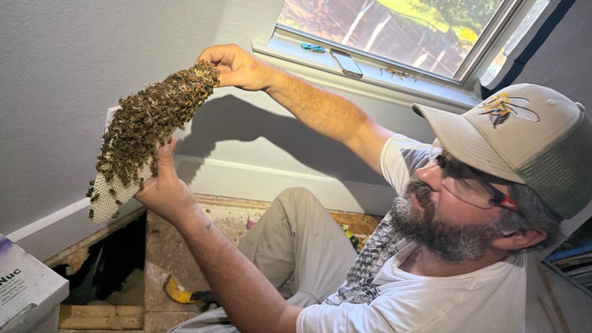Judge Judy by Rockwall Honey Bee Company