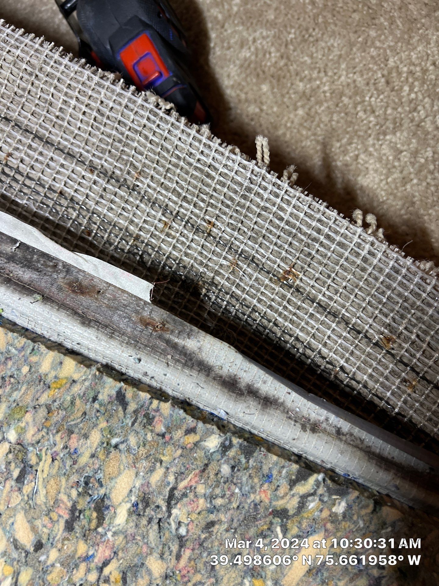 Water Damage Inspection & Basement Dryout – Middletown, DE by Healthy Home Solutions