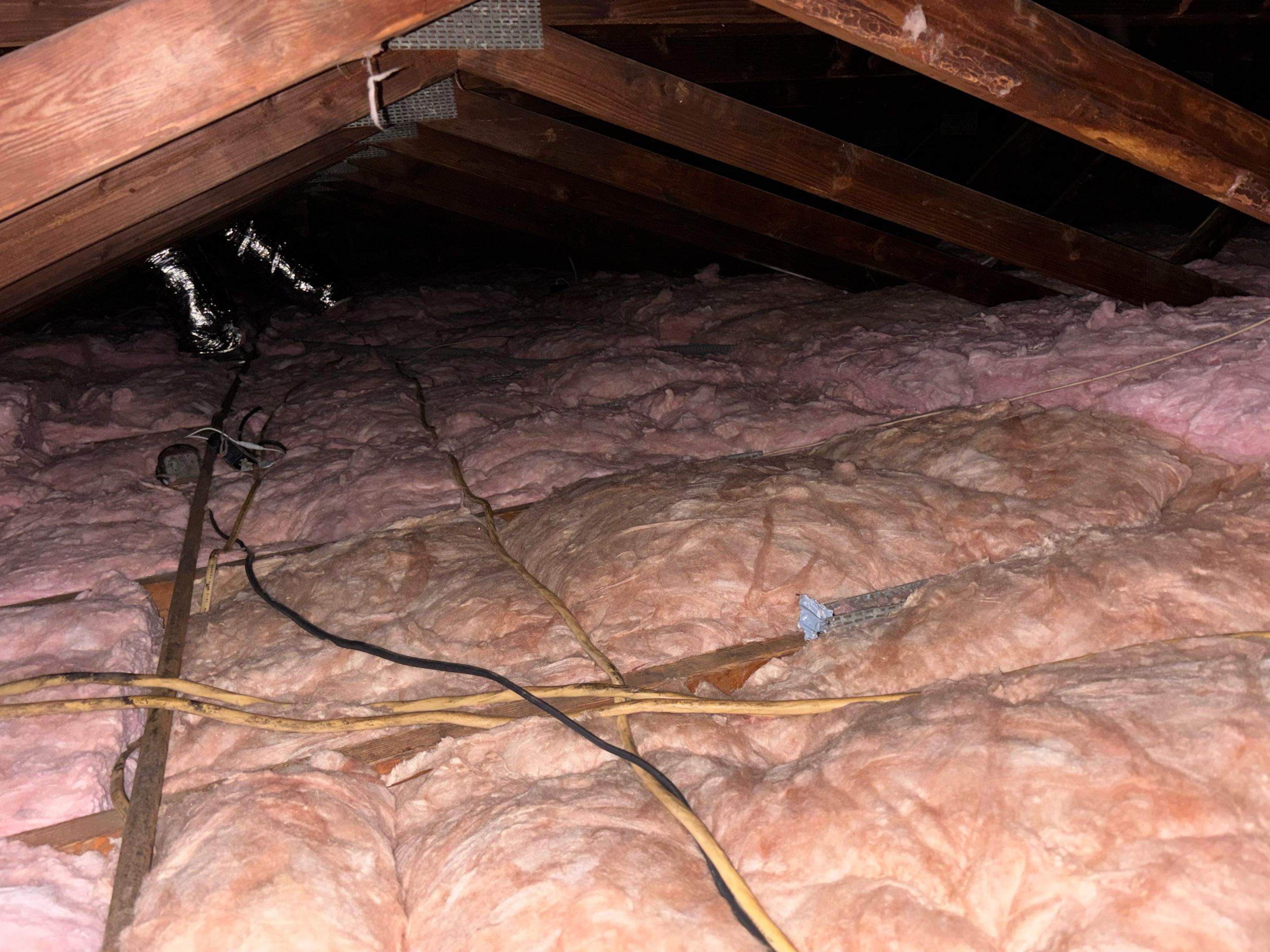 Project in Cypress by Insulation Labs