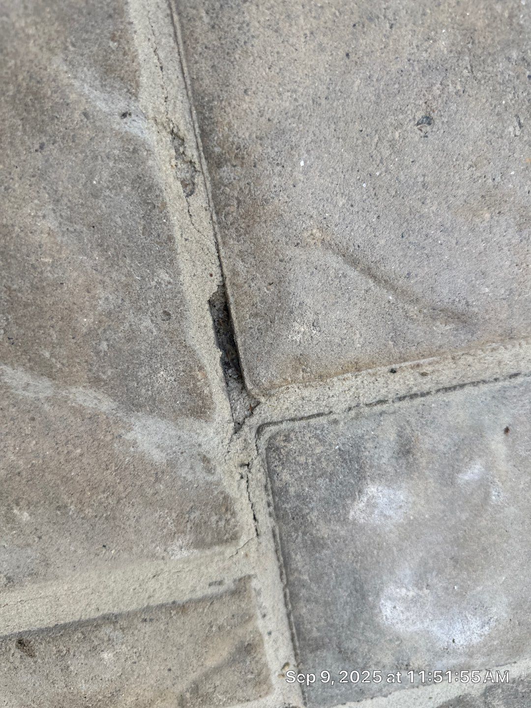 Pavers using TopSeal by DuraSeal