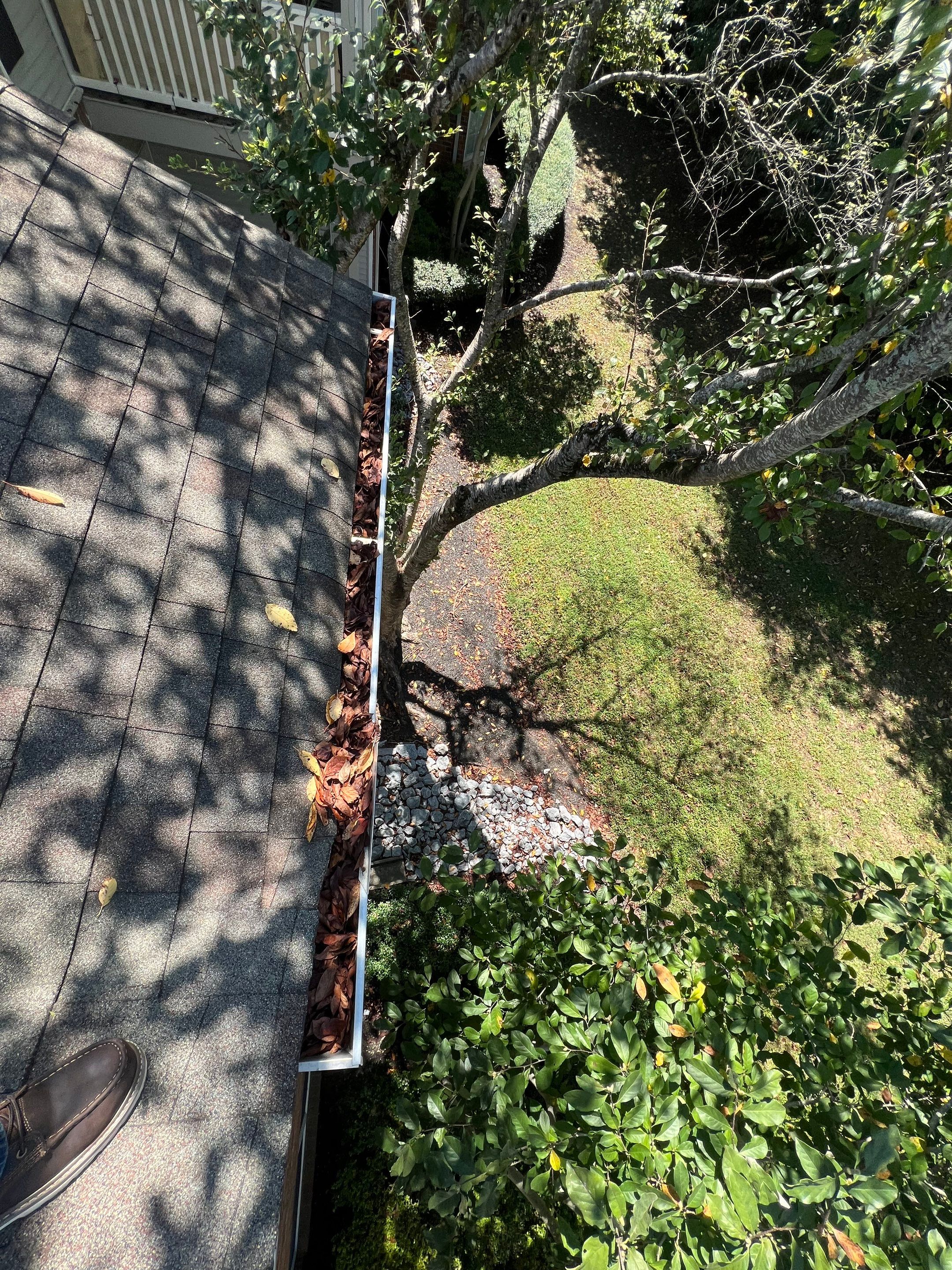 Commercial gutter cleaning Lebanon, TN before photo with filled gutters