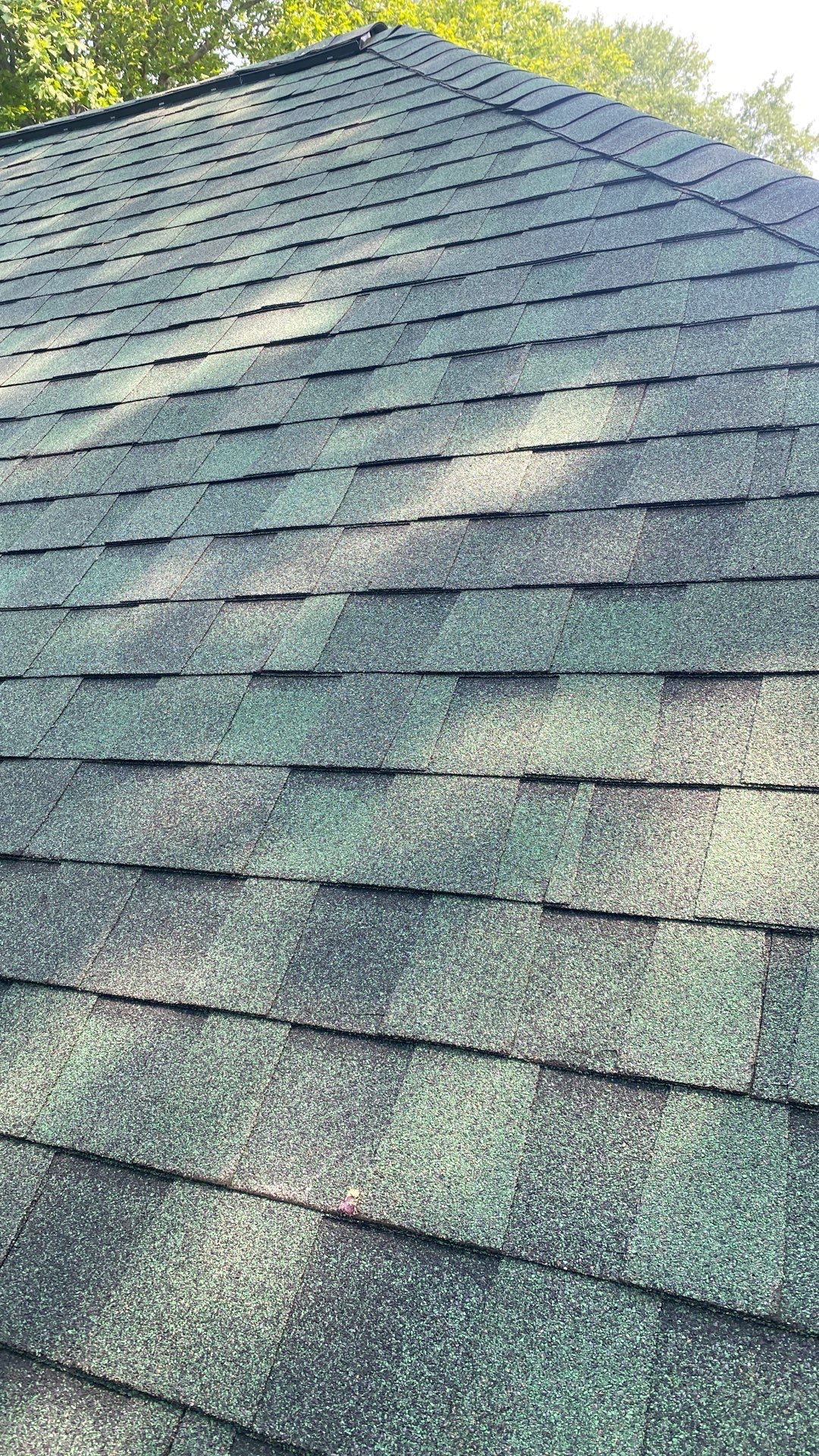 Springfield: Roof Replacement with CertainTeed Landmark Pro in Max Def Evergreen by RM Banning, Inc.