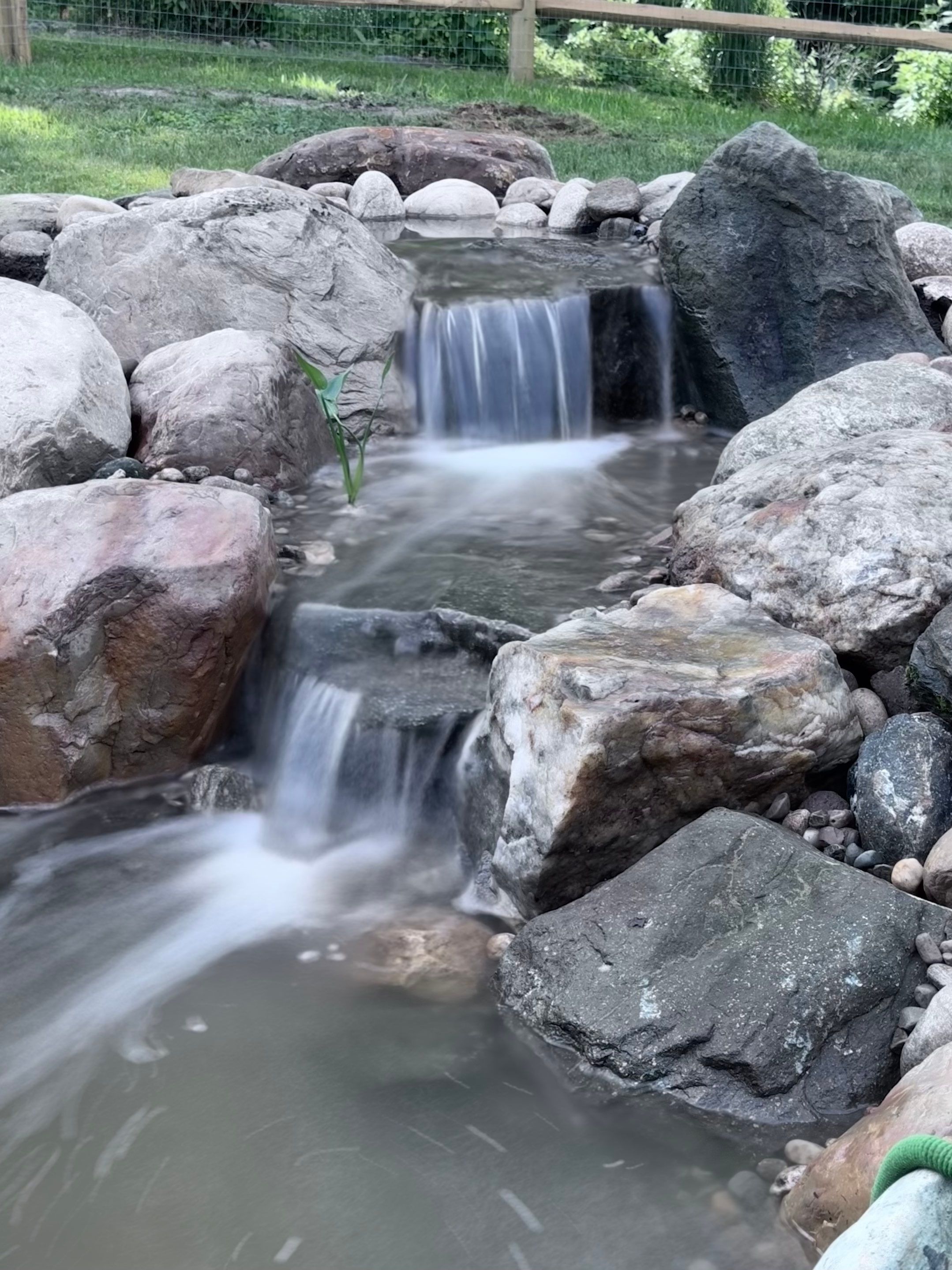 Small Pond Rescue in Williamsville, VT by Wicked Water Gardens