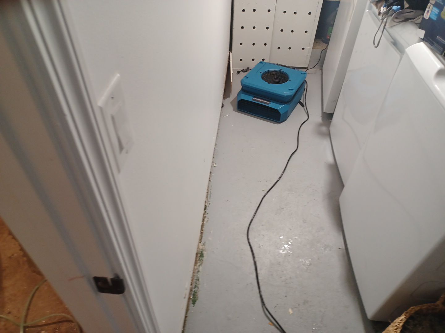 Project in Royal Oak by EzDry Water Mitigation & Property Restoration