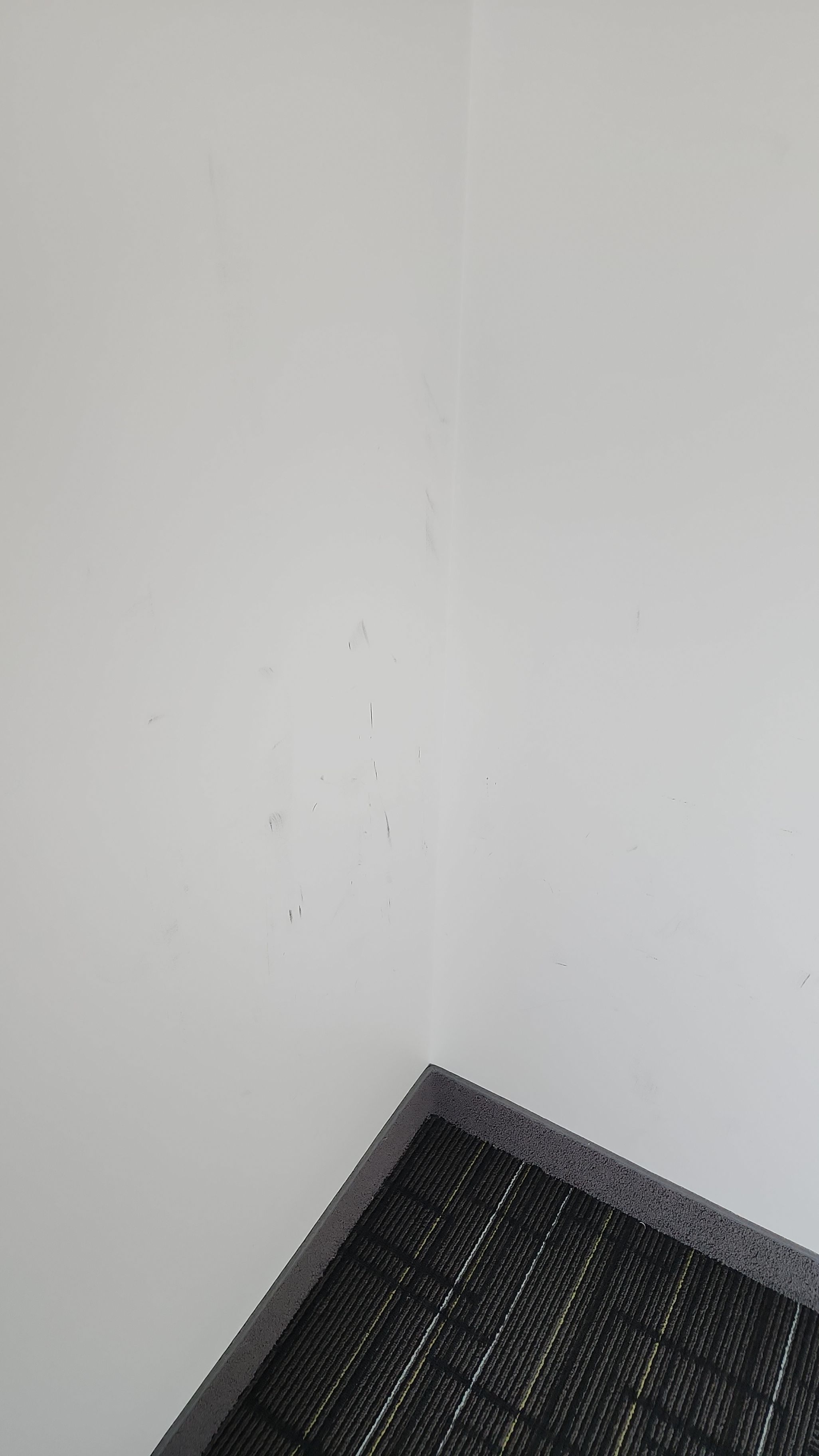 Project in Toronto by GTA HOME PAINTING