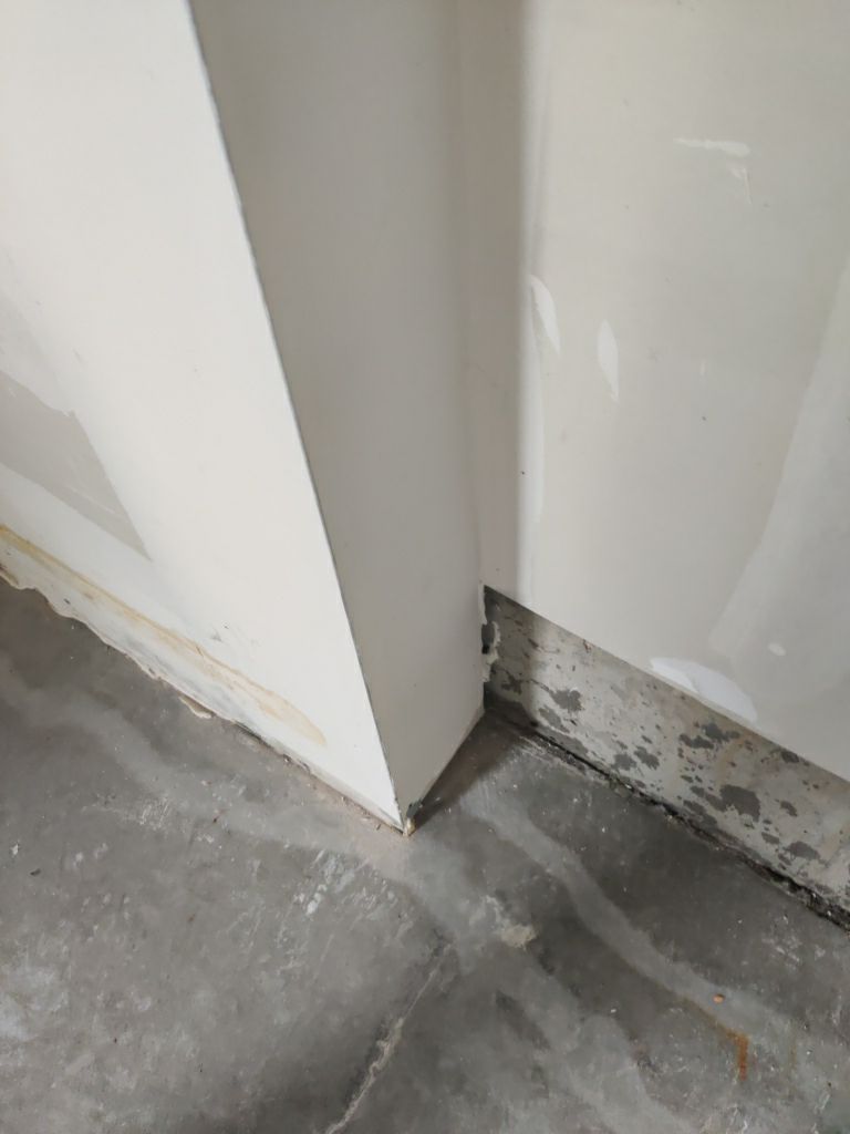 Mold Remediation in Garage by Accountable Home Services
