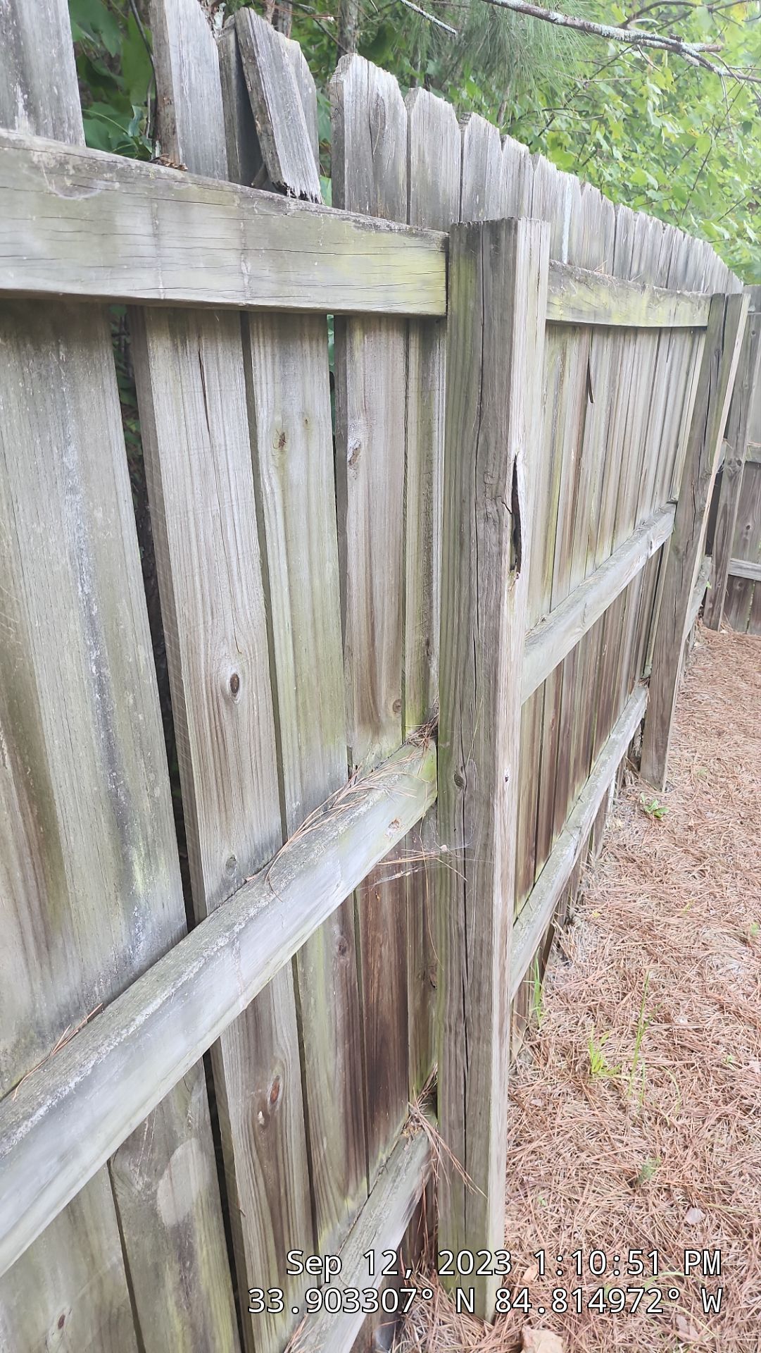 Dogear Wood Privacy Fence by Titans of Timber Fence & Stain