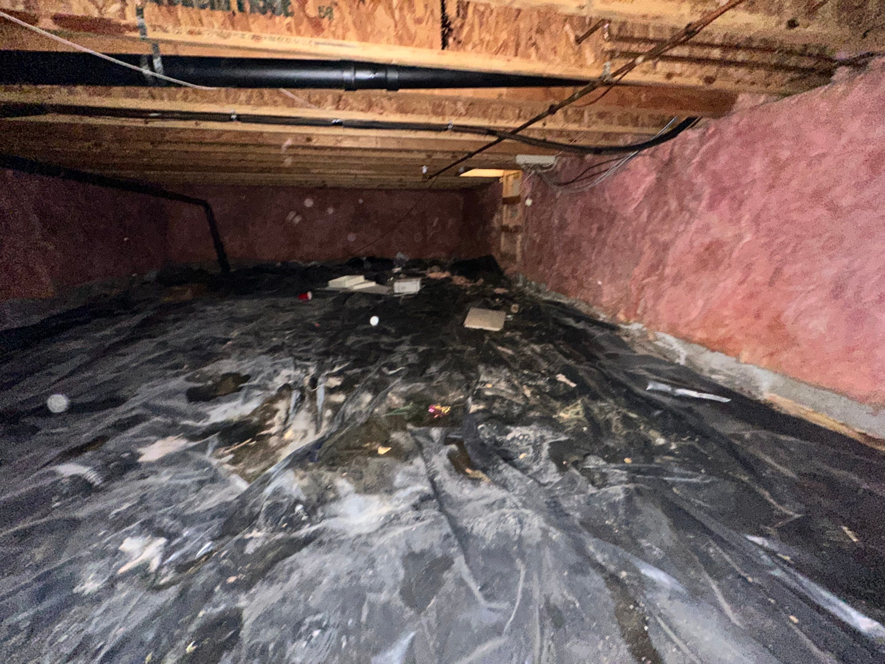 Mold Removal in Brighton, CO by Alpha Restoration 