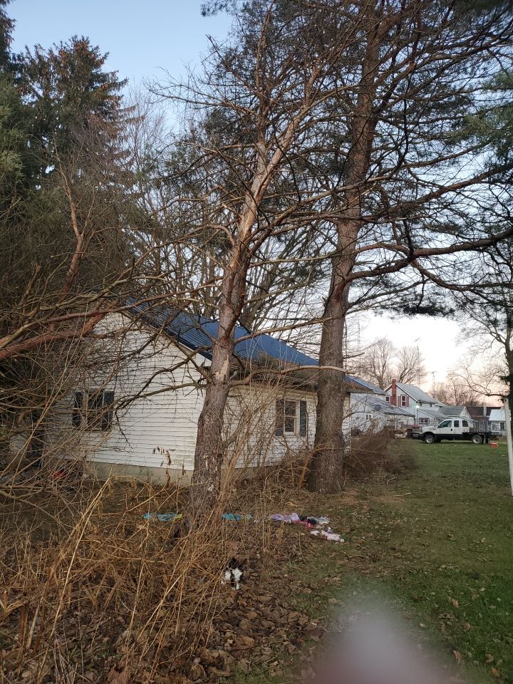 Storm Damaged Tree Removal  using Tree Removal by Mike Jones & Sons Tree Service LLC 