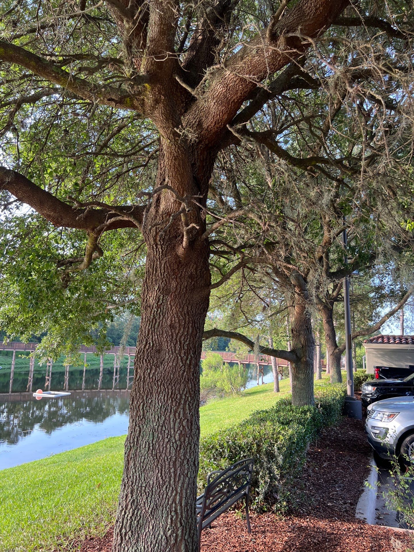 Homewood Suites | Tree Service by ProGreen Services