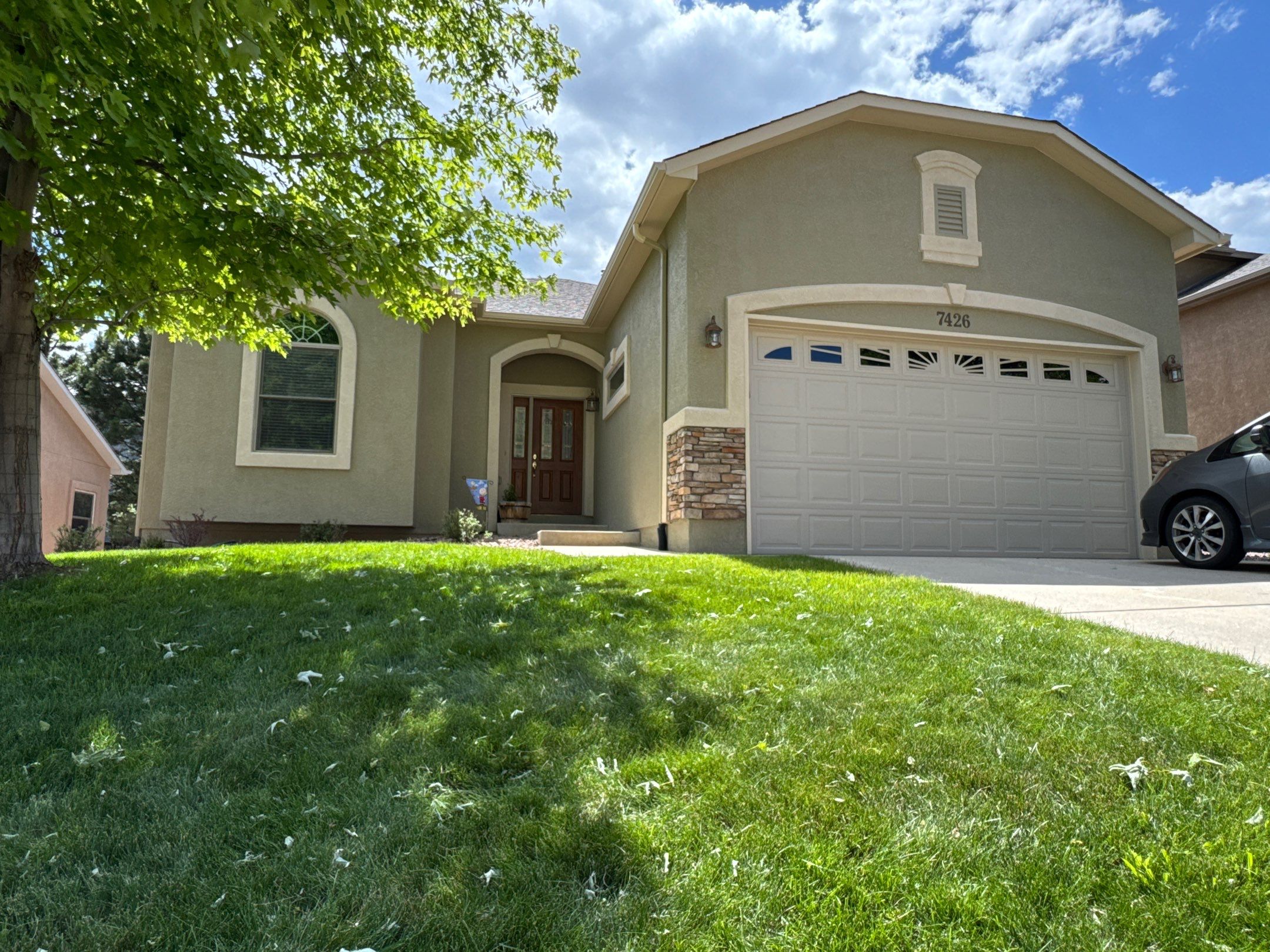Elastomeric Coating and Trim Paint Project in Mountain Shadows/Peregrine  by Carroll Painting LLC
