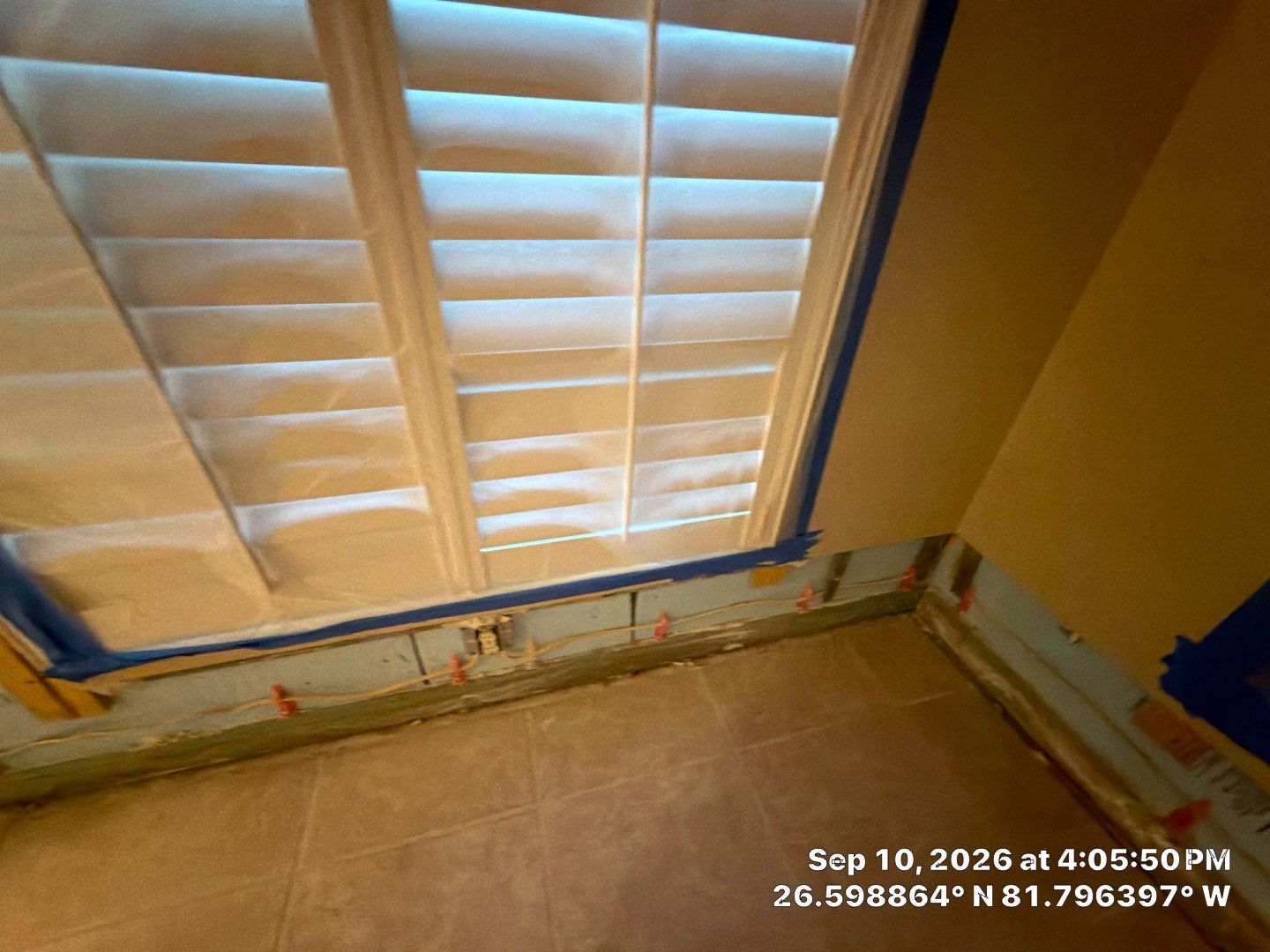 Fort Myers Water Damage Restoration and Professional Mold Remediation by Microscope