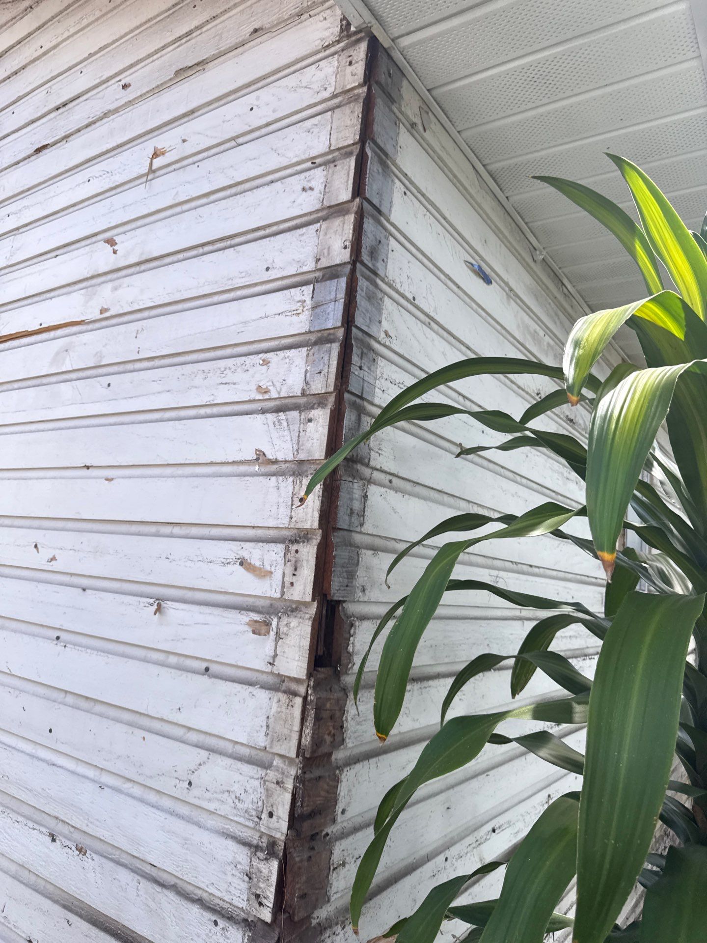 Project in Tampa by Bayshore Exteriors