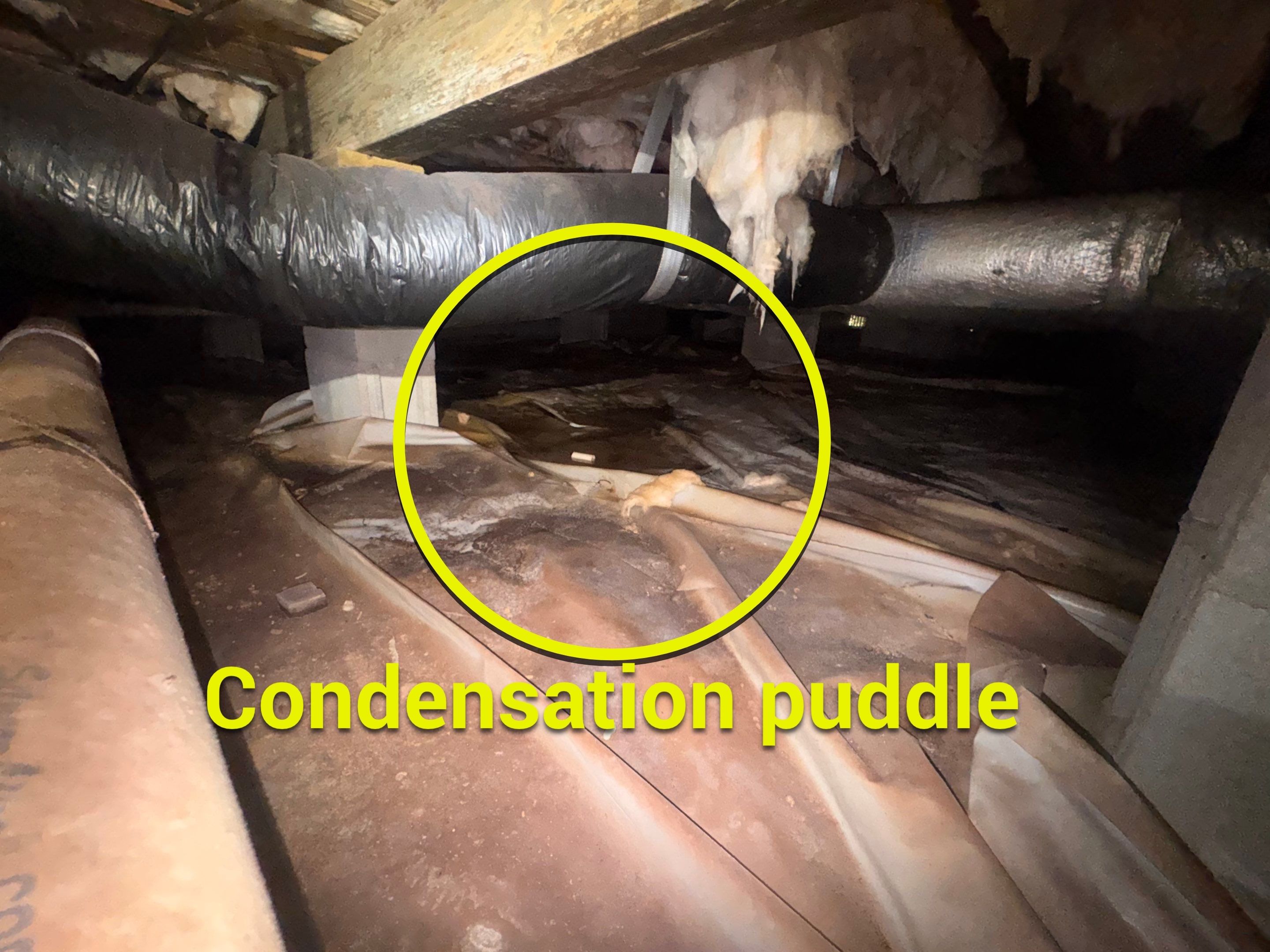 Moisture Barrier, Mold Clean, Structural Repair, Dehumidifier, R19 Insulation. by Impact Crawlspace