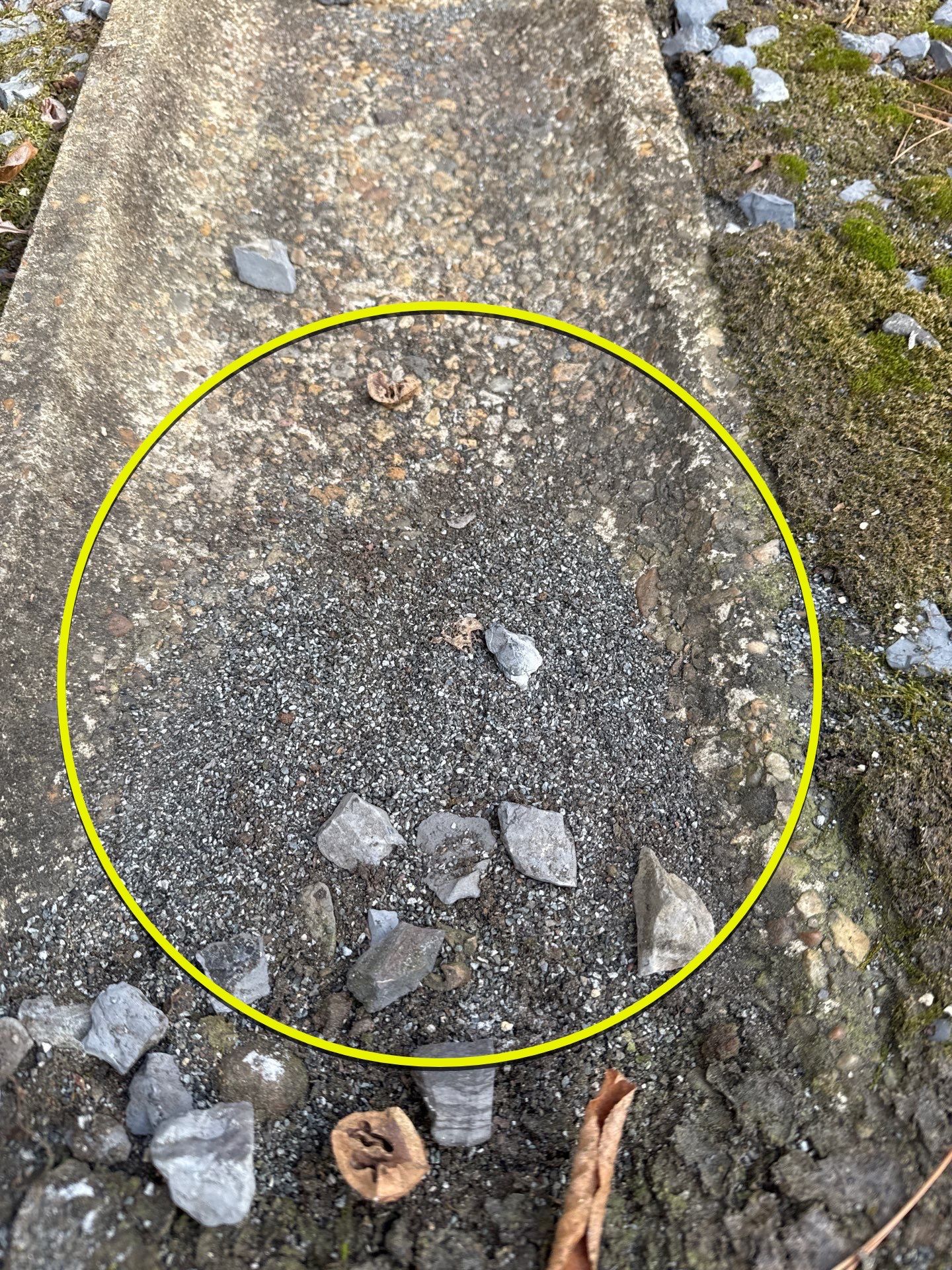 Project in Richmond by Roof Maxx of Midlothian