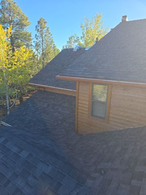 Midnight Black Project in Show Low