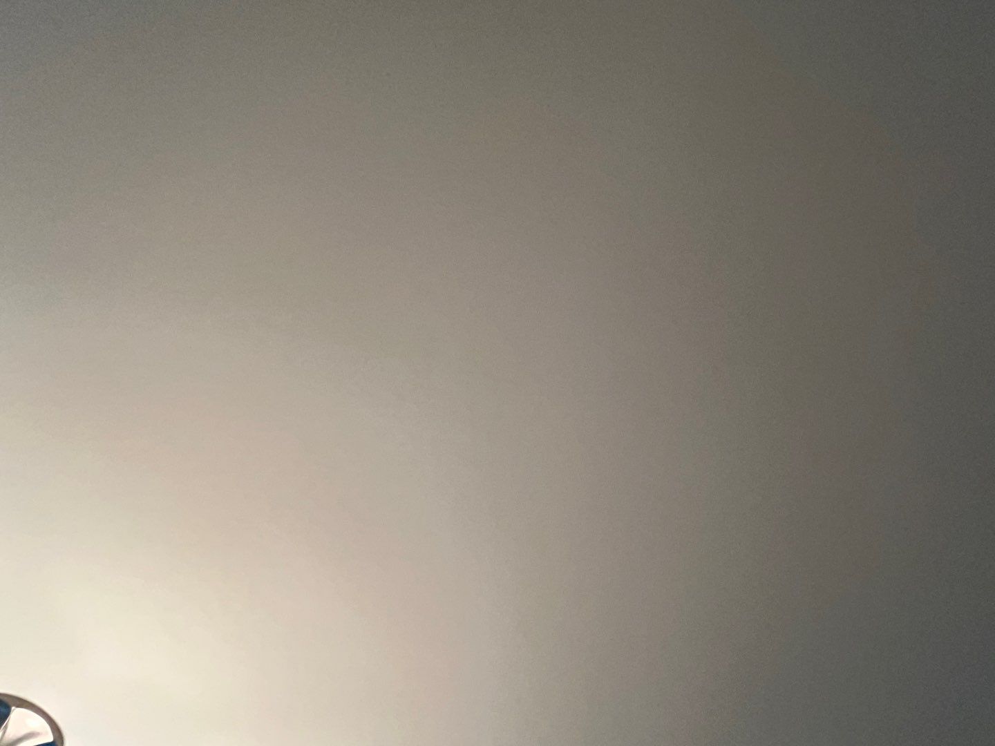 Ceiling Painting by Fresh Coat Works LLC