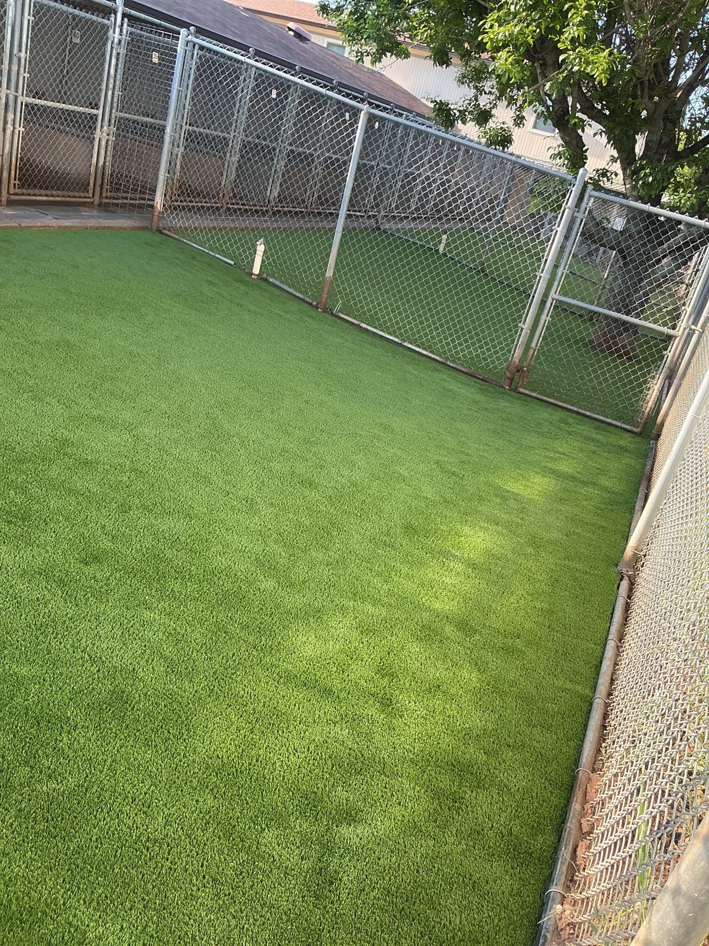 Synthetic Turf Installation using Pet Turf by Turf Concepts