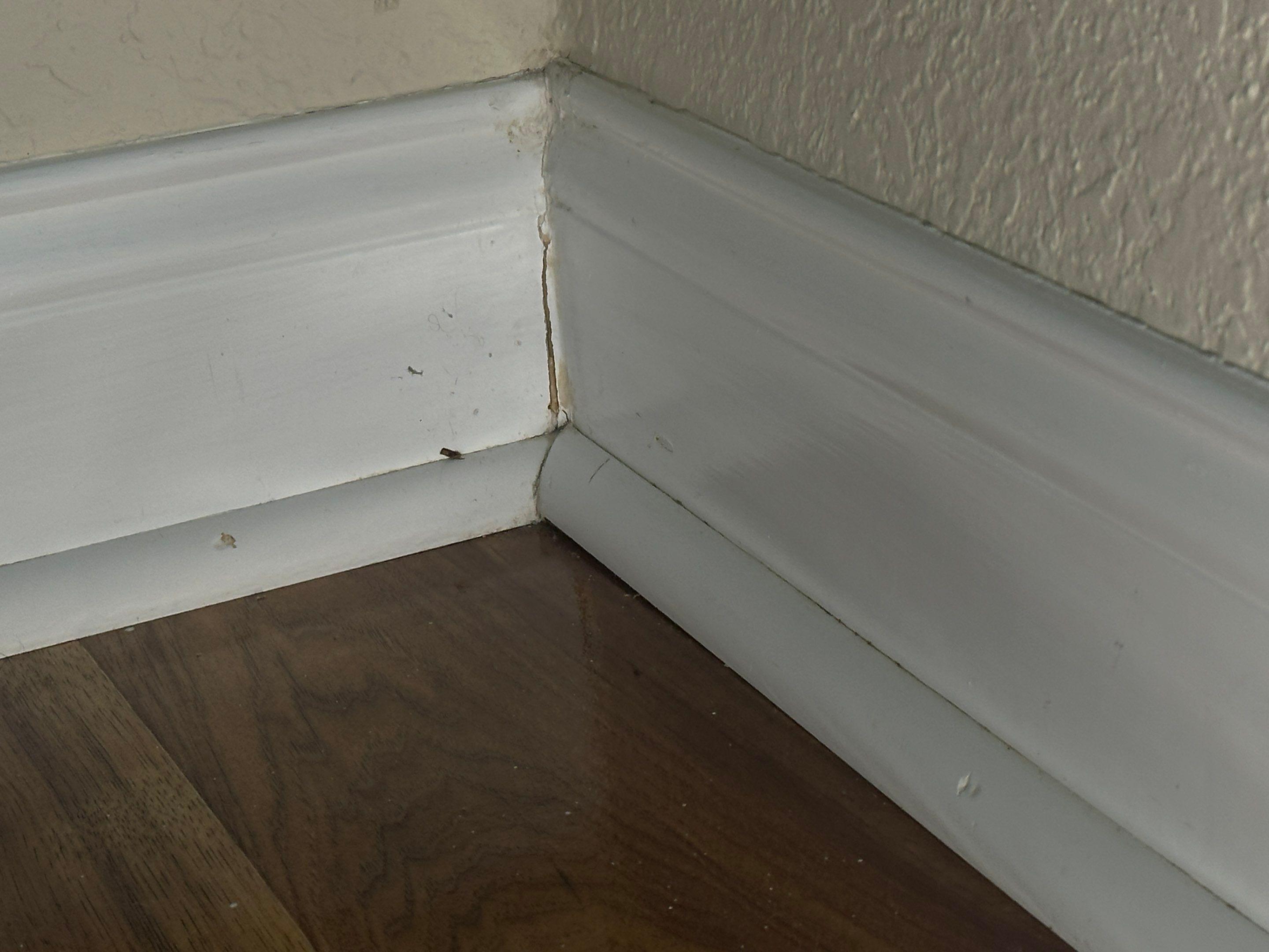 Water Damage Claim in New Port Richey by FLAPA & KeyStone