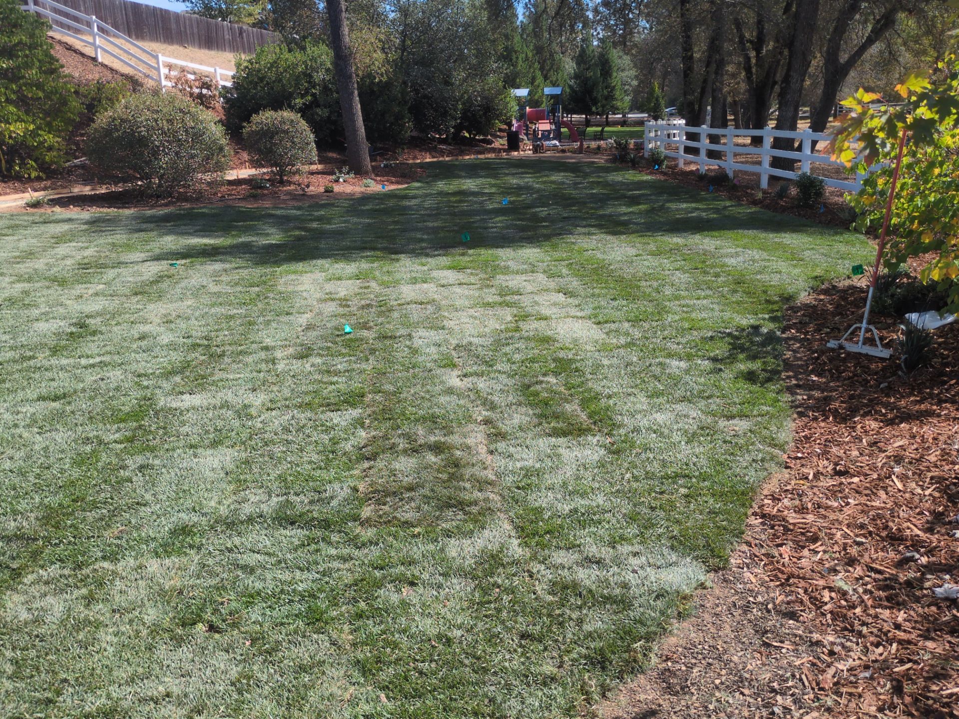 Project in Auburn by A - G Sod Farms