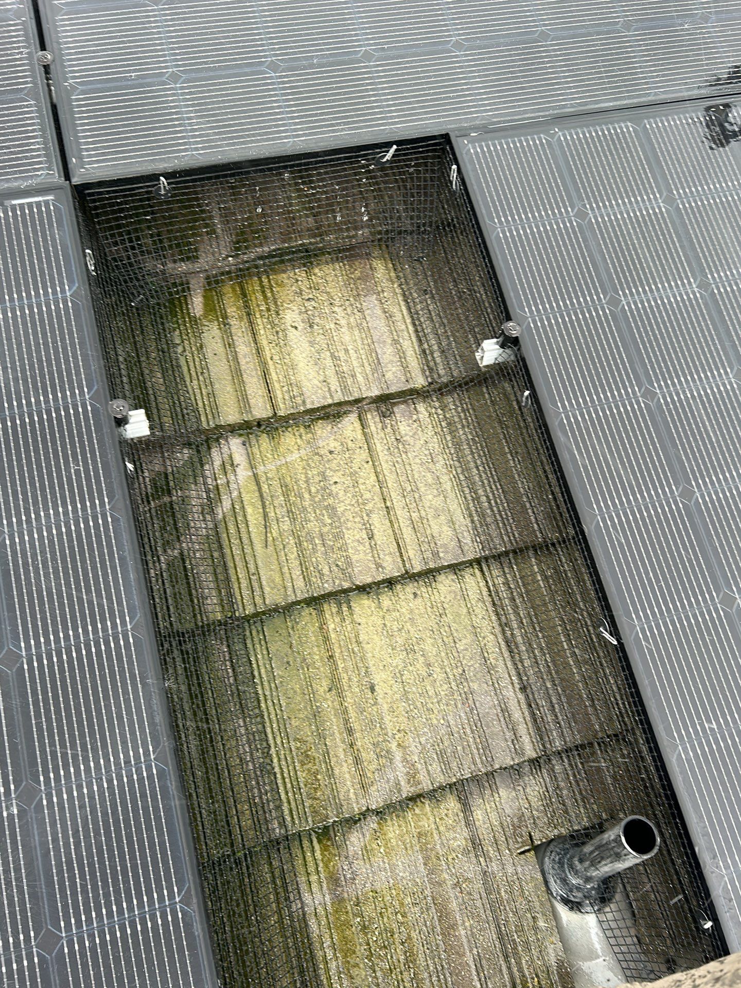 Solar Panel Bird Proofing using Critter Guard Mesh-Flat tile by All One Solar Shine
