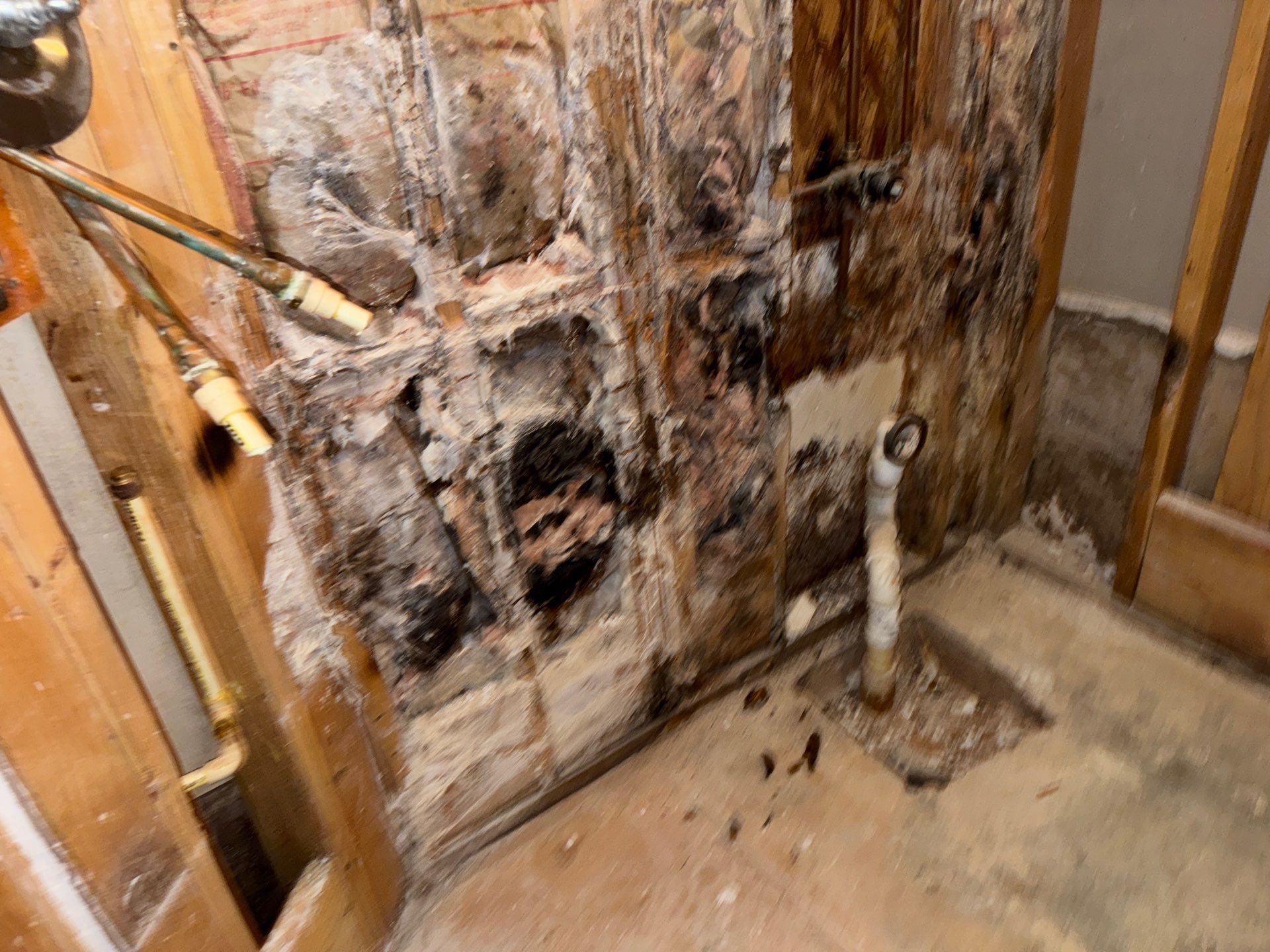 Bathroom renovation by Prudencio