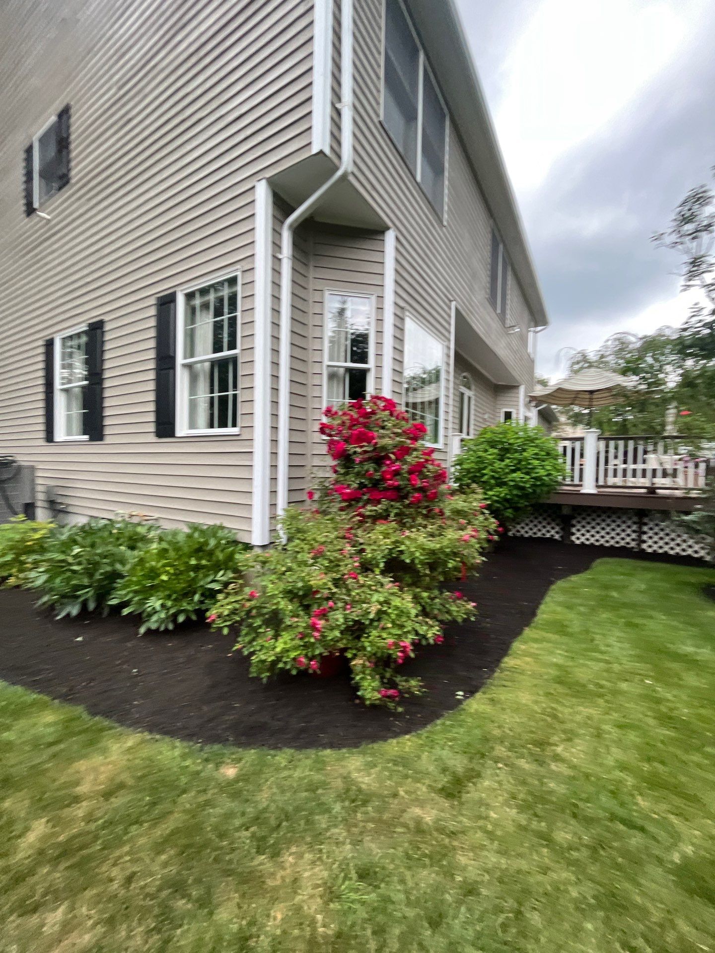Comprehensive Shrub and Ornamental Bed Maintenance in Basking Ridge by Ants Plants