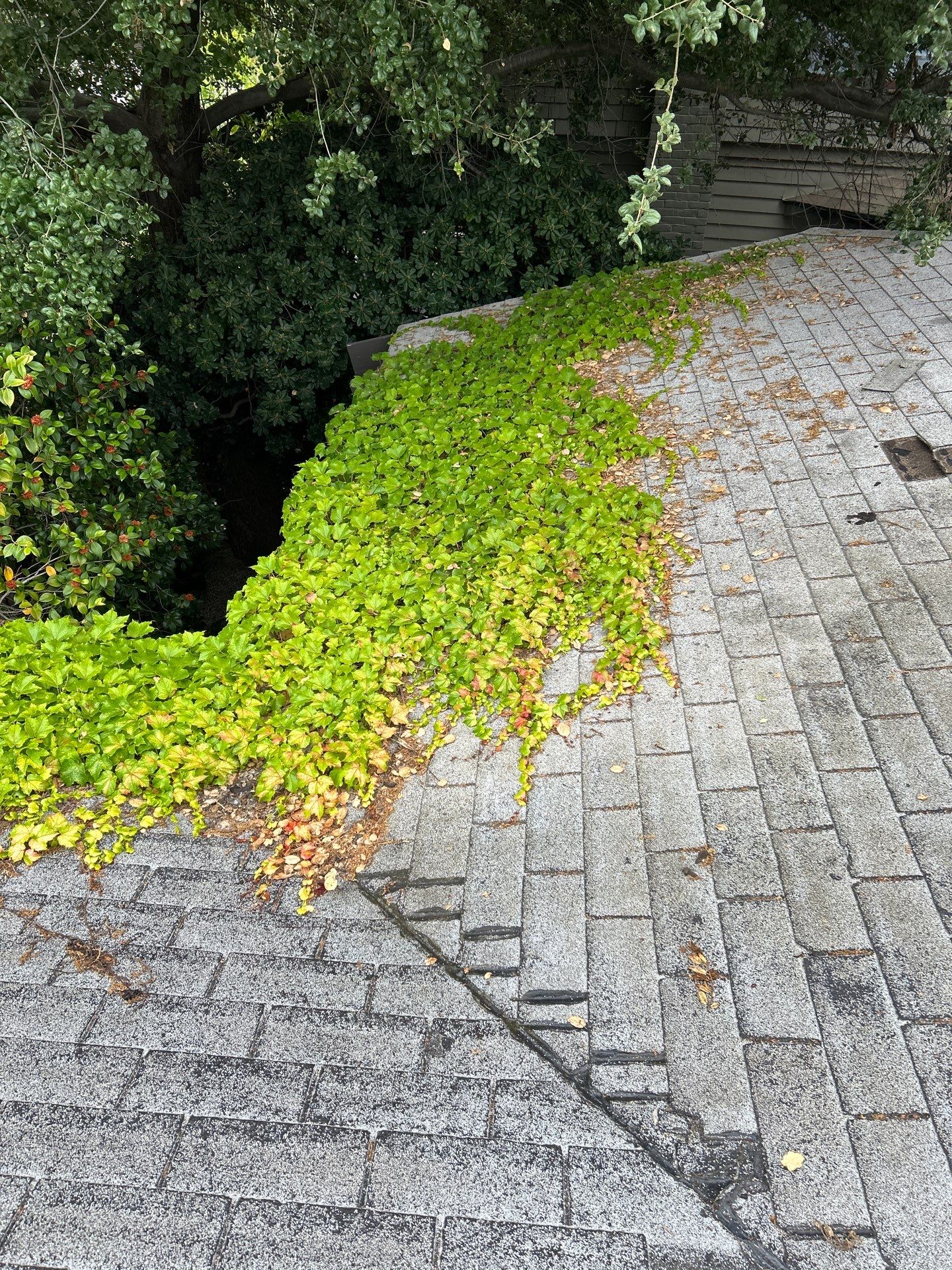 Residential Reroof Project: Composition Shingles by Hull Brothers Roofing