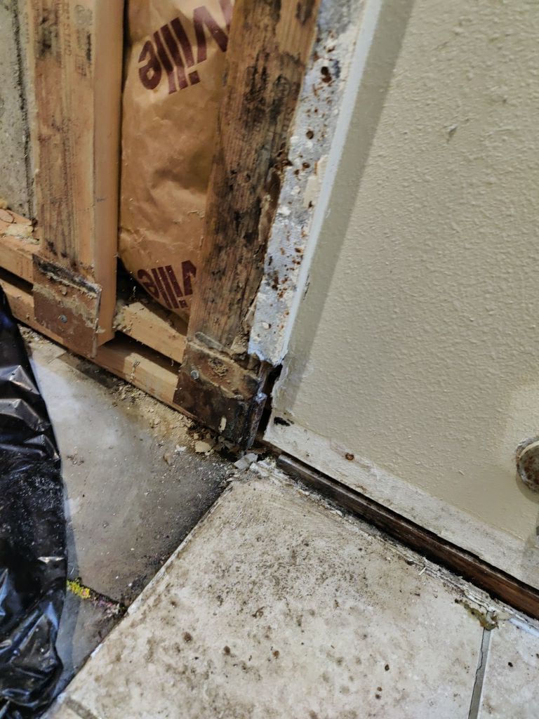 Mold Remediation by Accountable Home Services