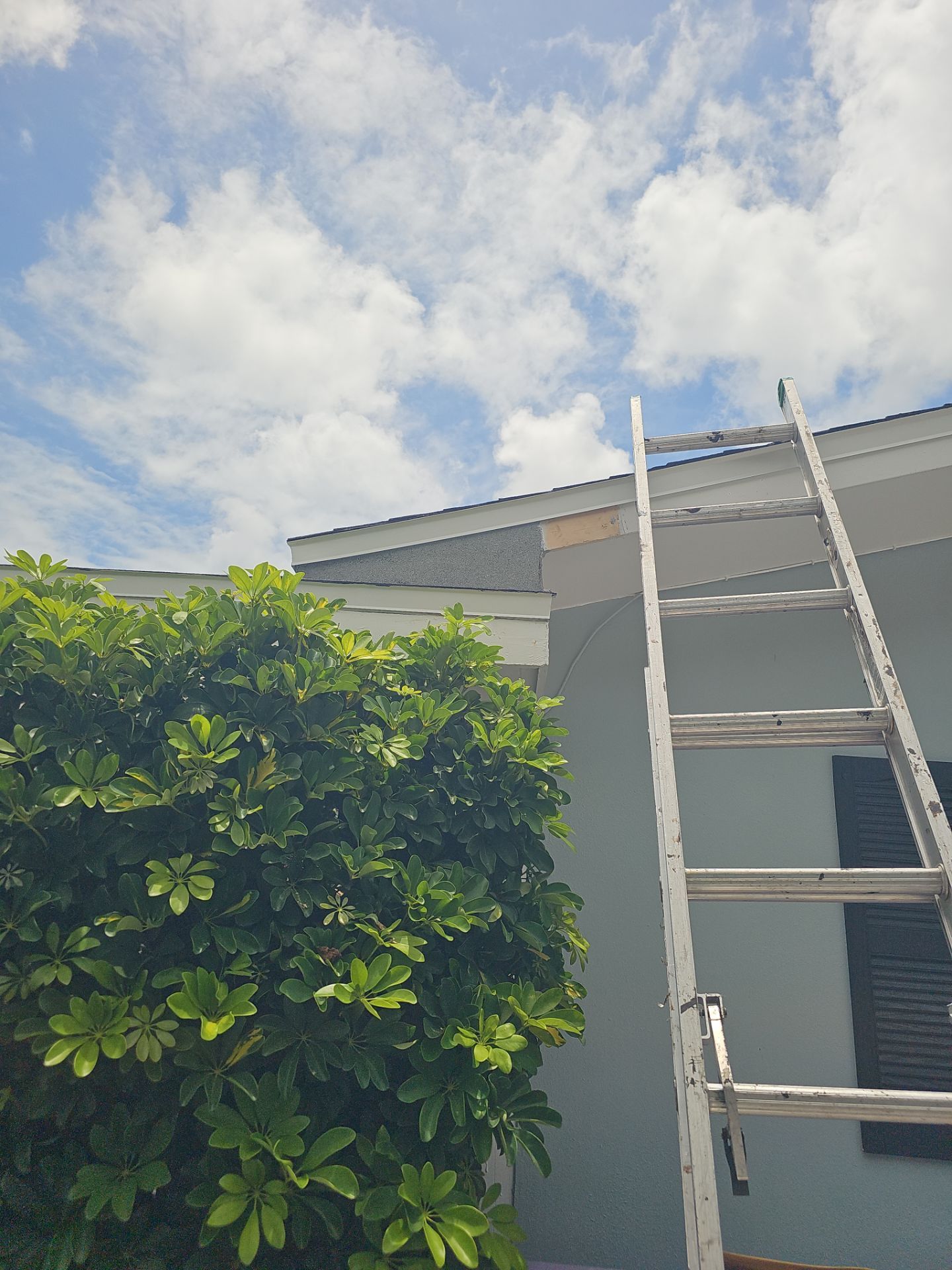 Project in Clearwater 33756 by Mitchell Roofing Company LLC 