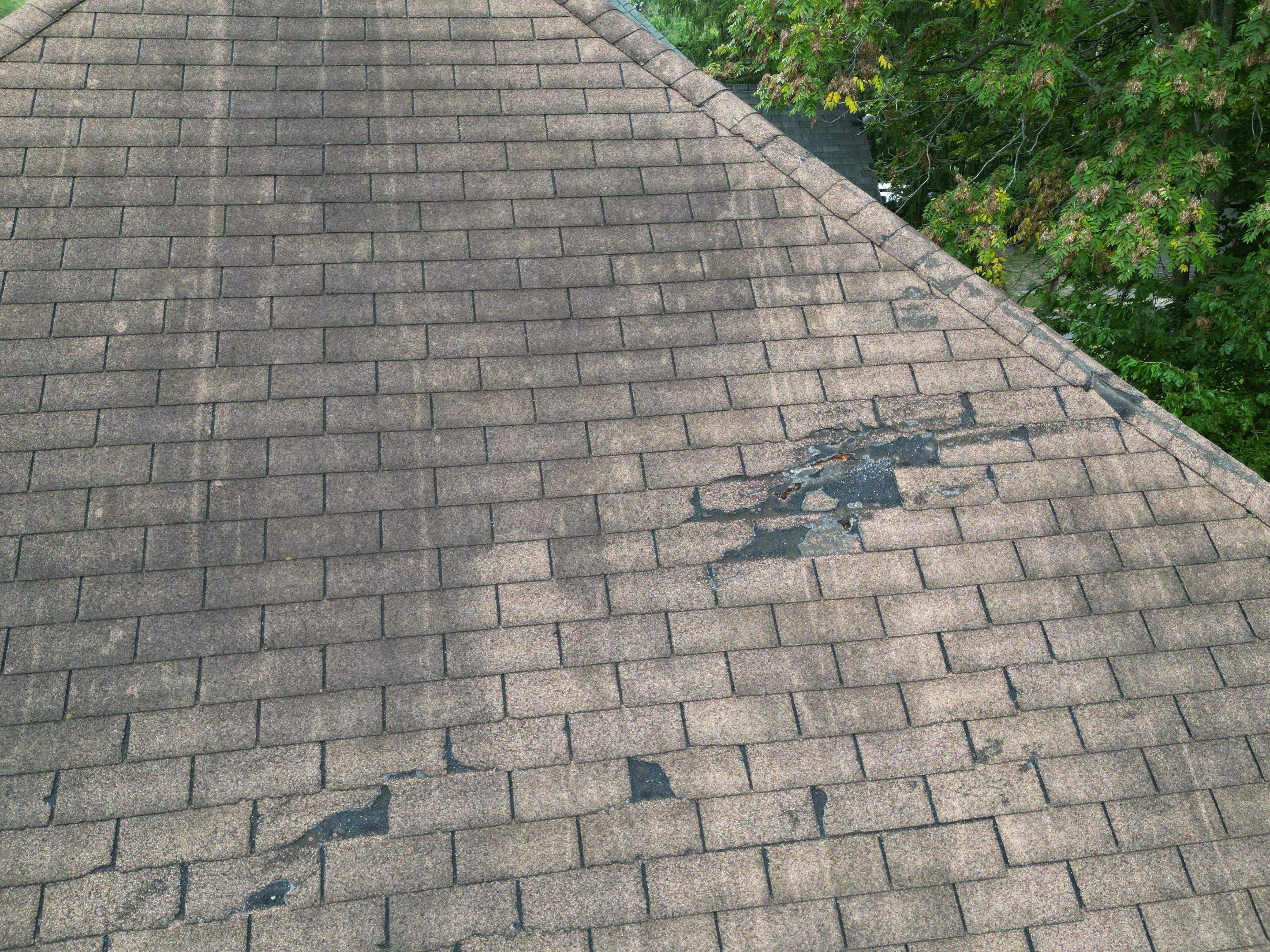 Re-Roof in Delmar by Potomac Custom Remodeling 