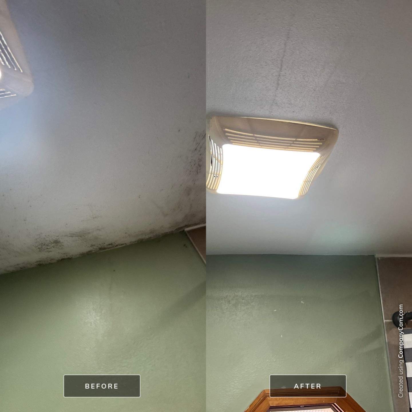 Mold Remediation and Bathroom Ceiling Repair in Madison by Dry Source Property Restoration