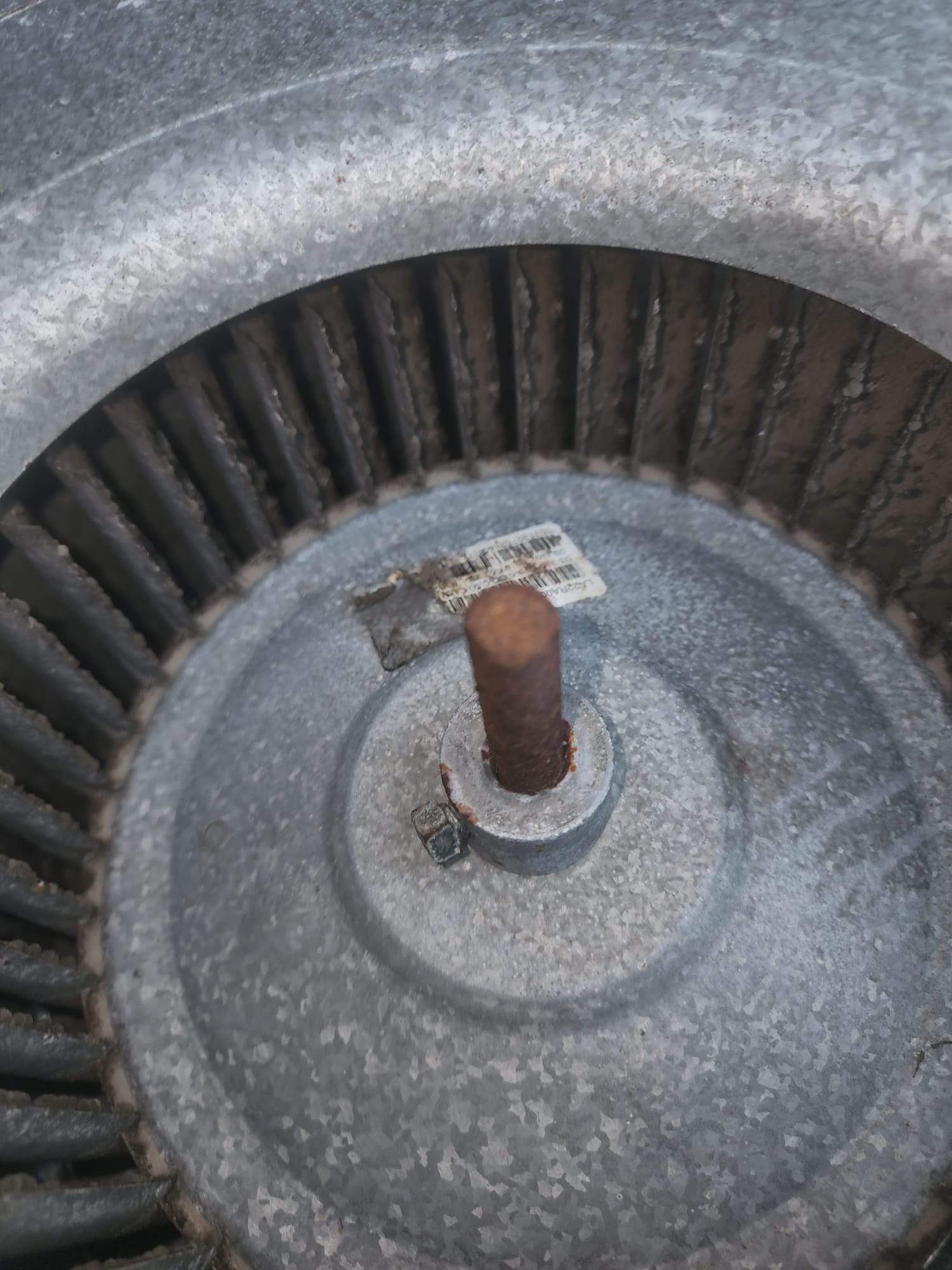Holmes Beach AC Mold Deep Cleaning by Ampm Restoration Services