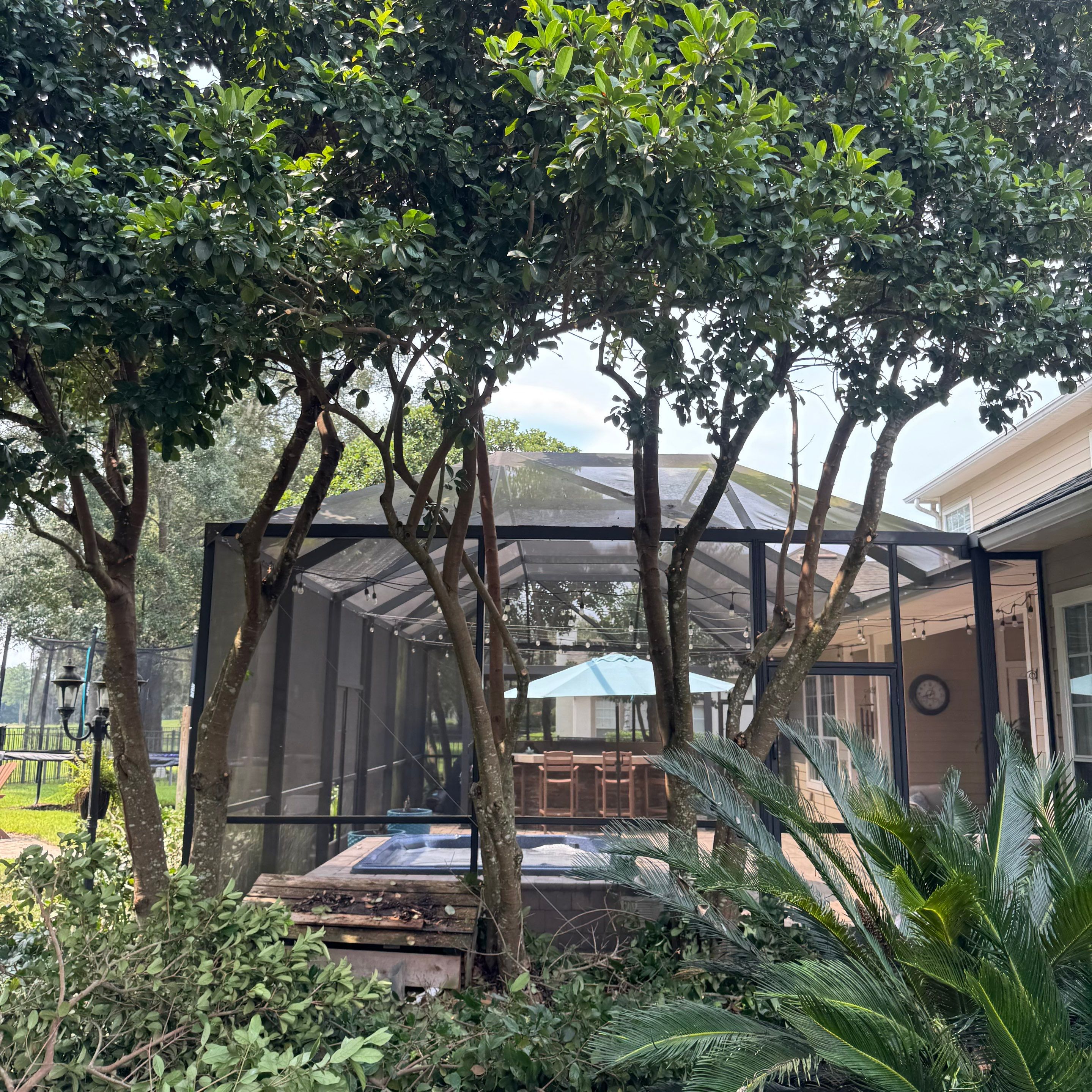 Residential | Sod Installation & Tree Trimming by ProGreen Services